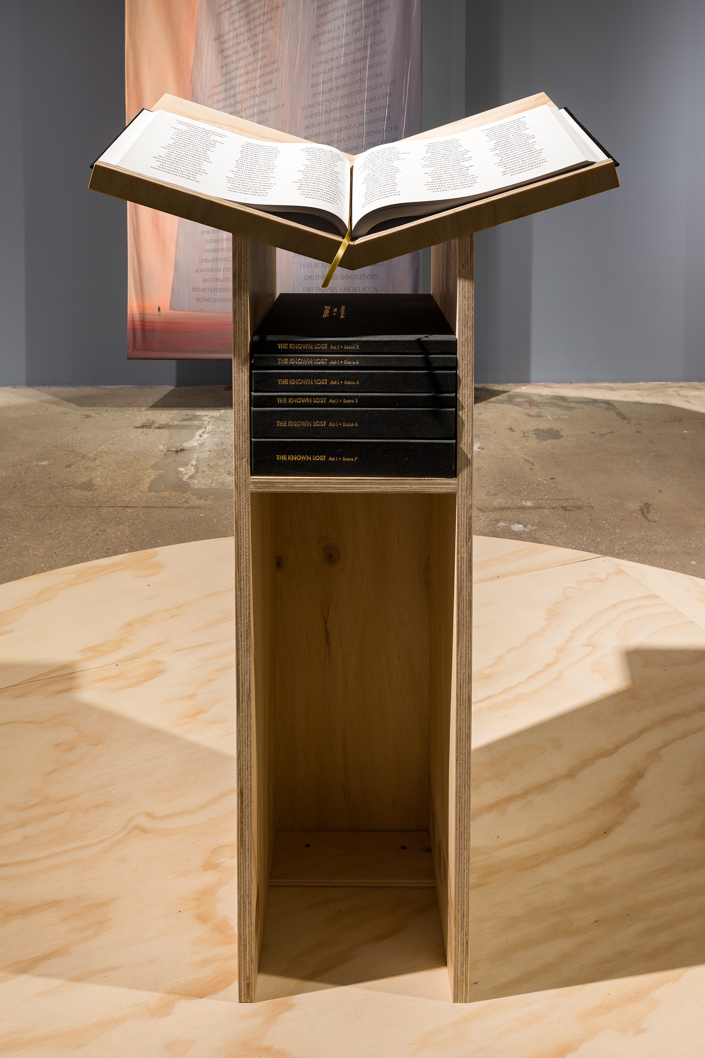 K Allado-McDowell, The Known Lost at Swiss Institute, photo 17