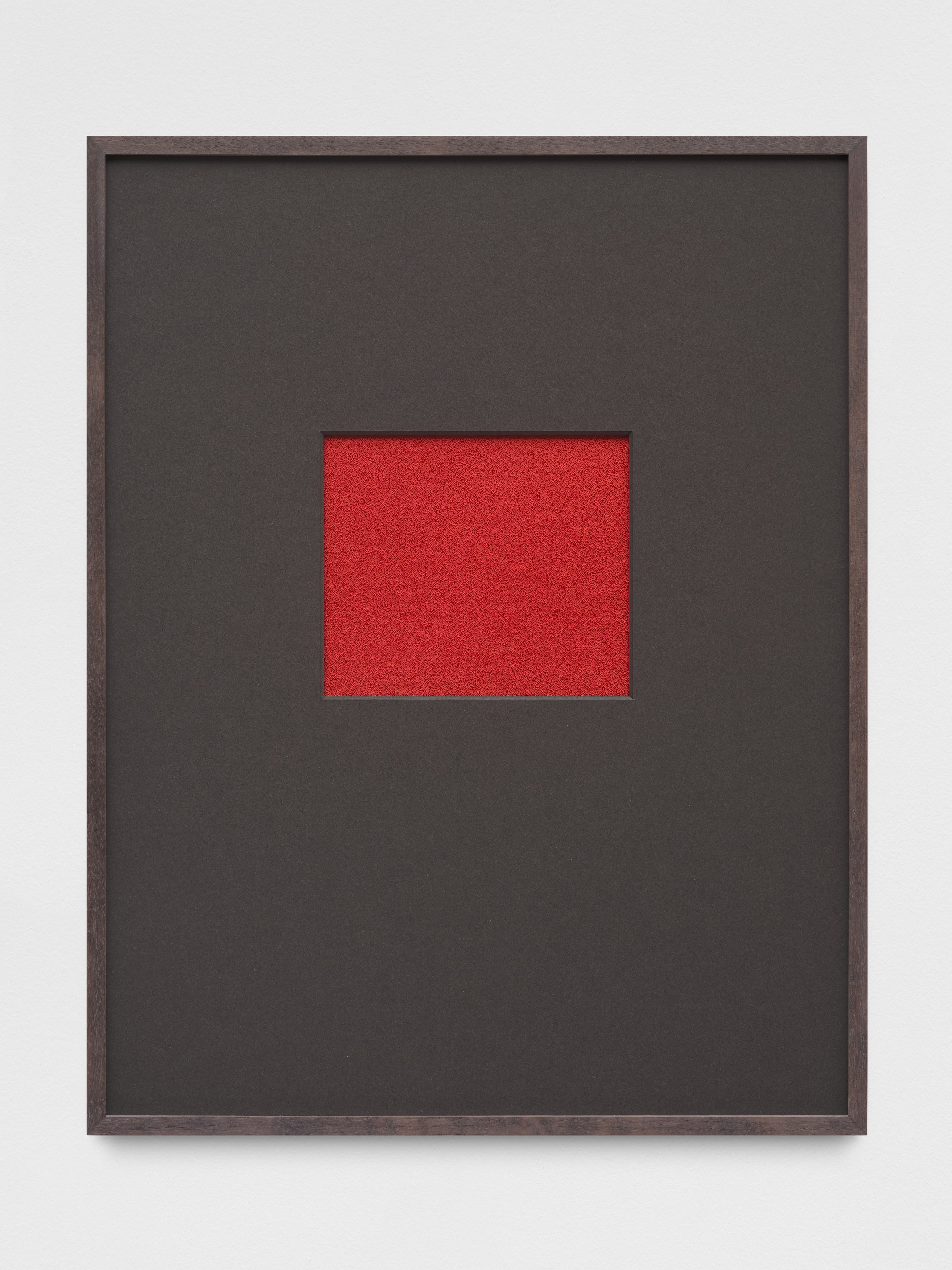 Anca Munteanu Rimnic, Treatise on Bruises at Galeria Plan B, photo 21