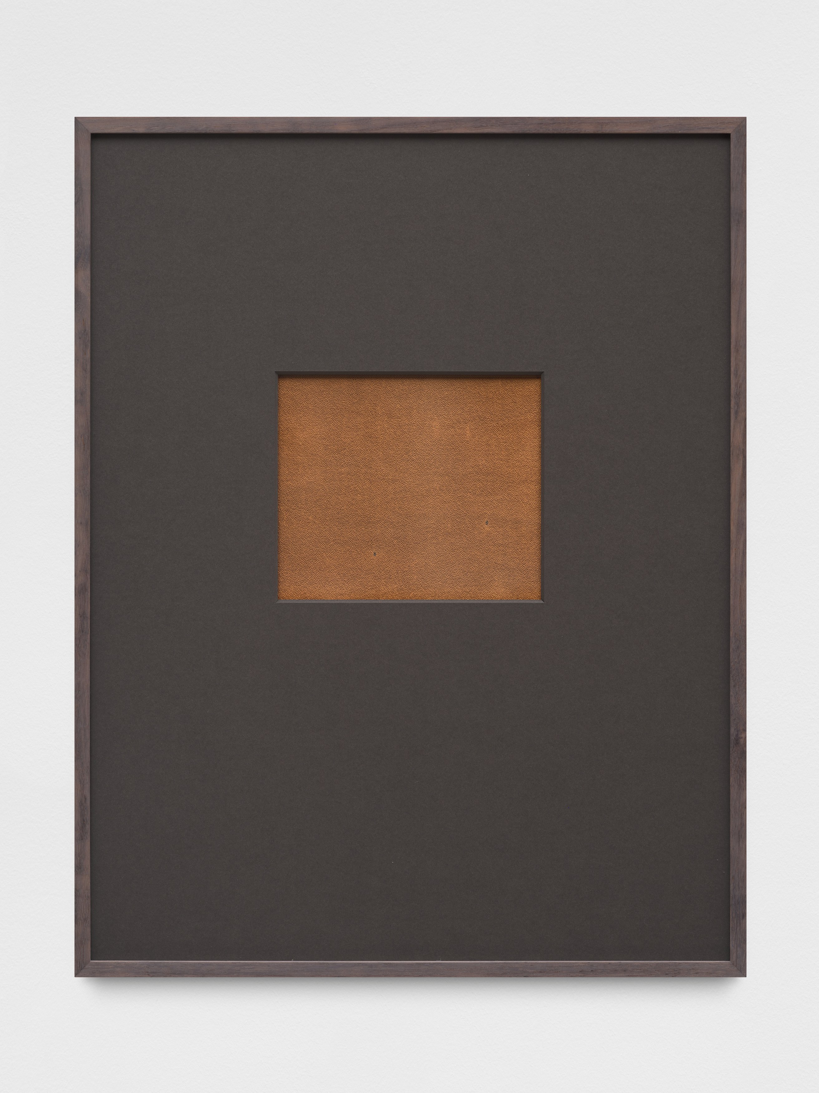 Anca Munteanu Rimnic, Treatise on Bruises at Galeria Plan B, photo 23