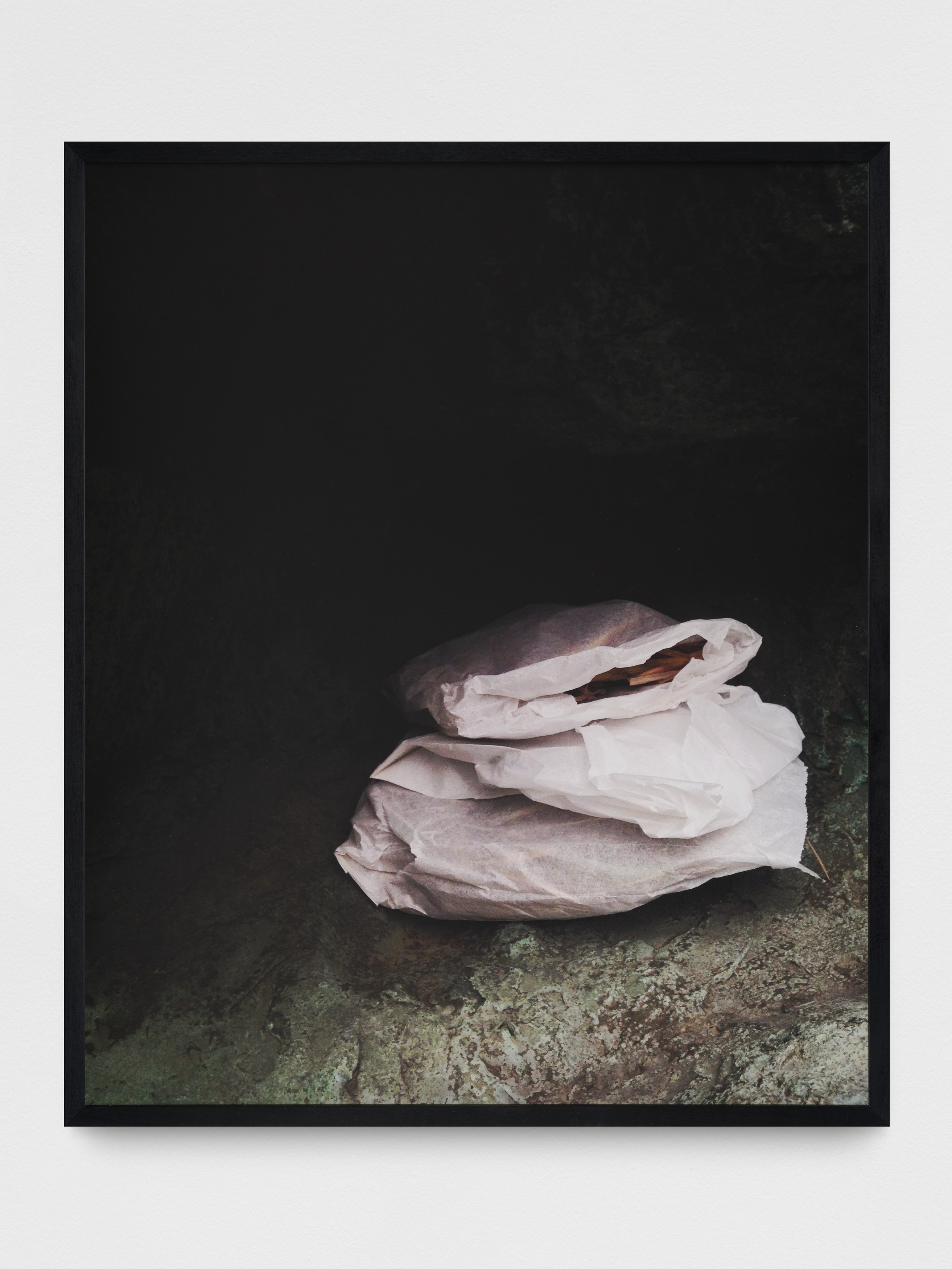 Anca Munteanu Rimnic, Treatise on Bruises at Galeria Plan B, photo 25