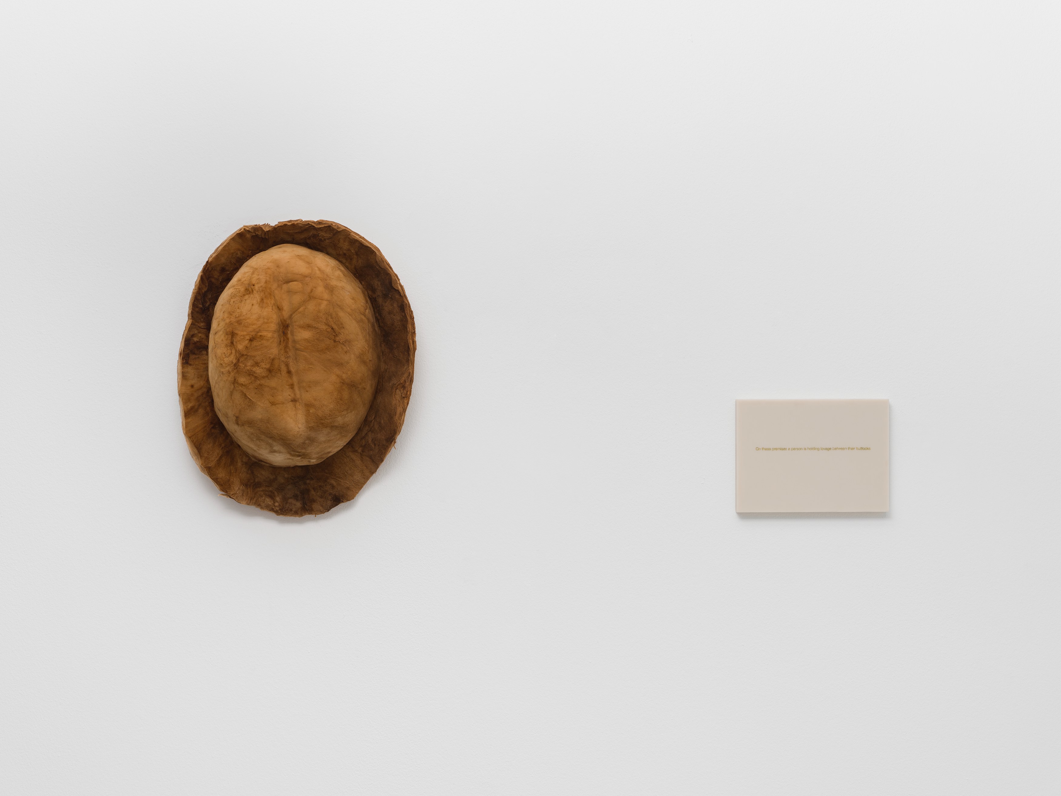 Anca Munteanu Rimnic, Treatise on Bruises at Galeria Plan B, photo 29