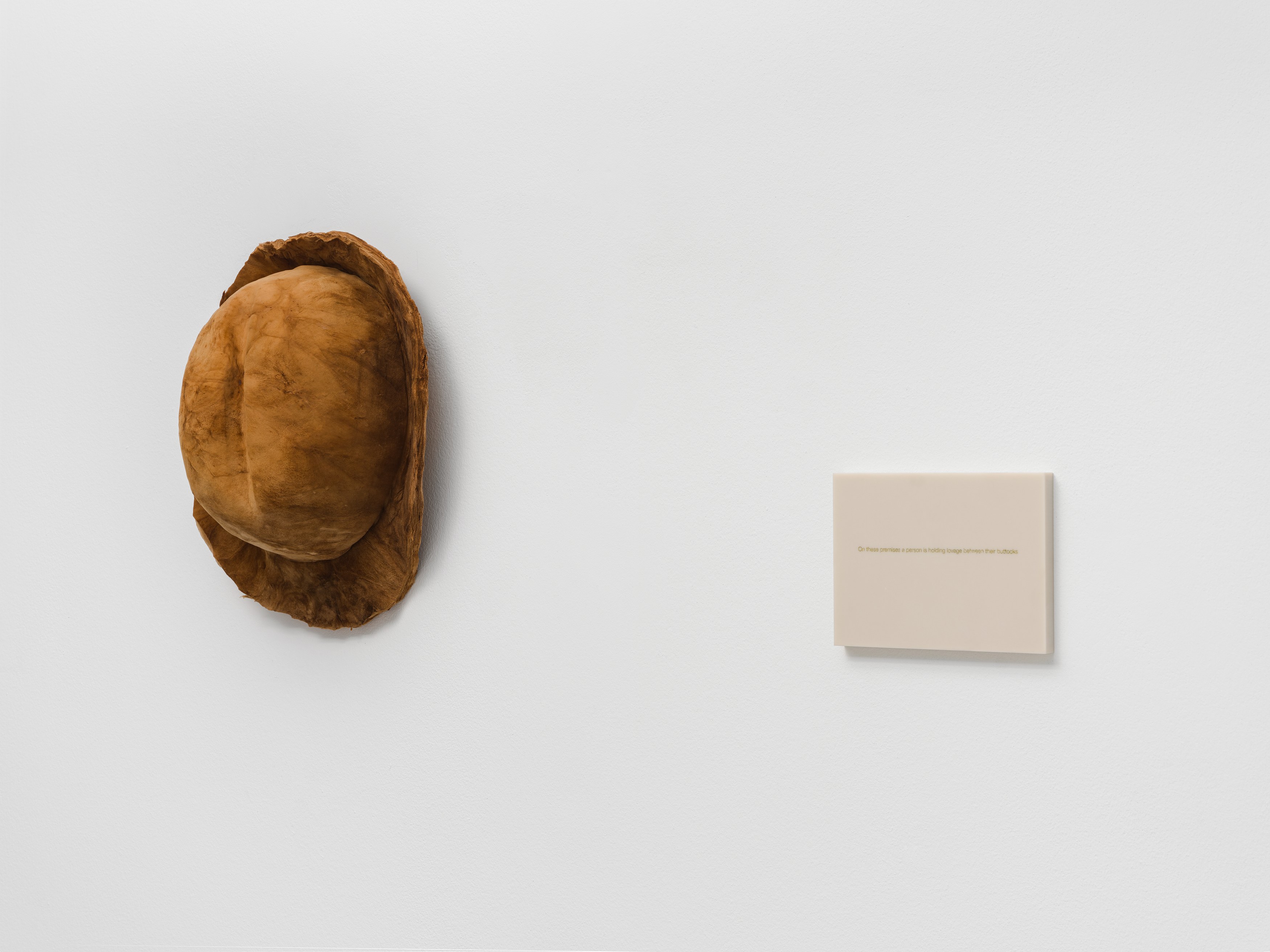 Anca Munteanu Rimnic, Treatise on Bruises at Galeria Plan B, photo 30