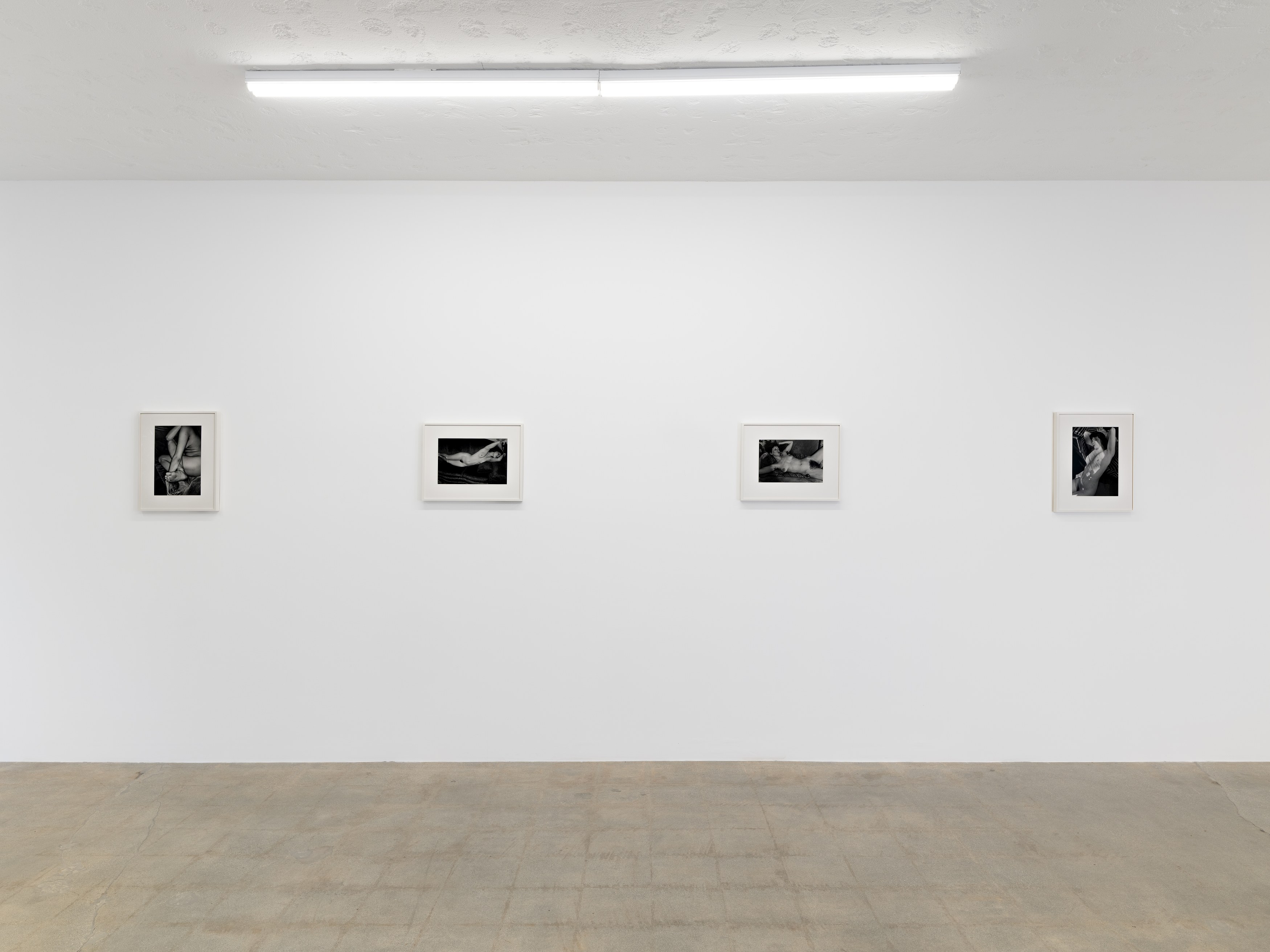 Lee Friedlander, 10 Nudes at Castle, photo 3