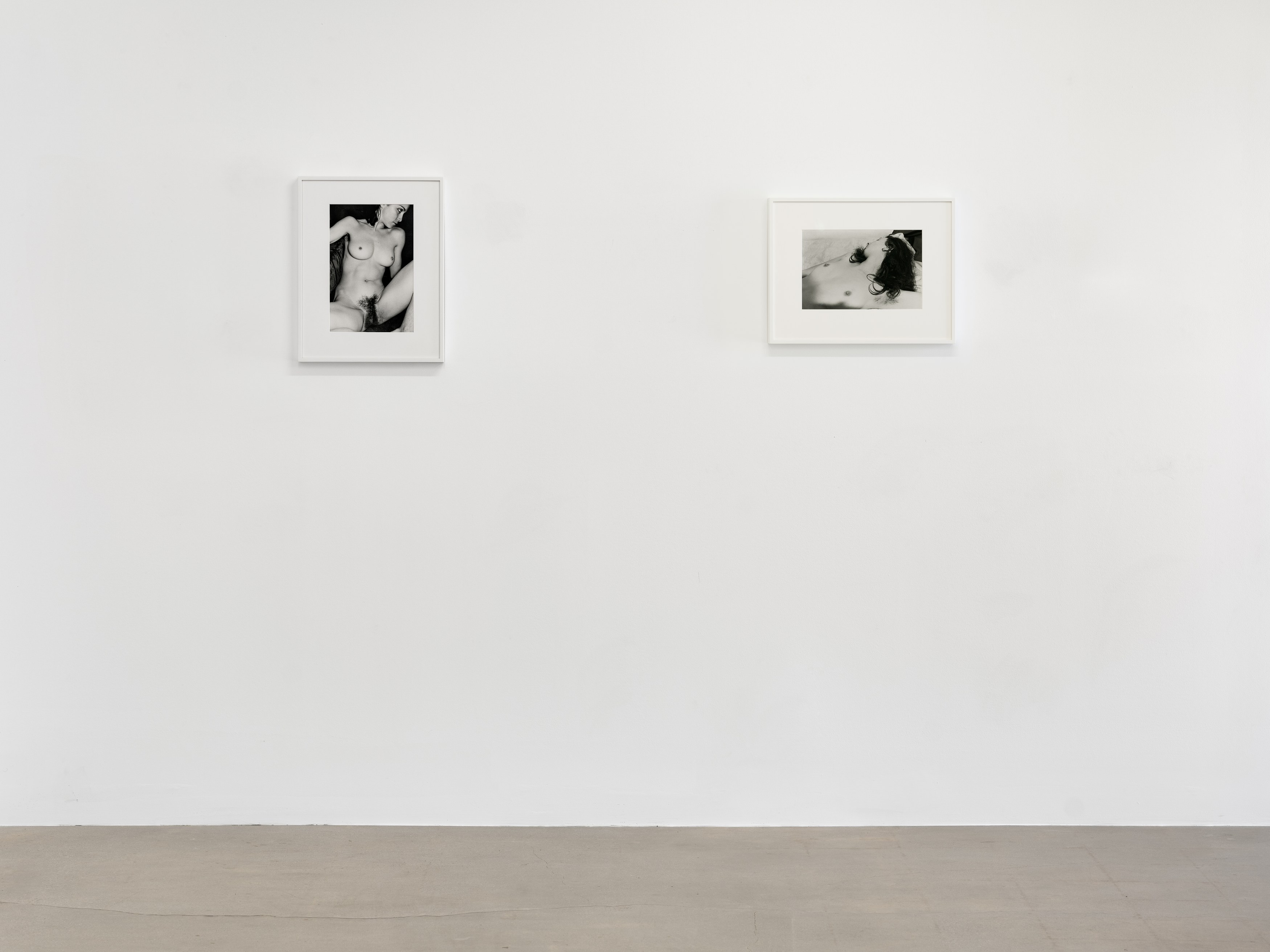 Lee Friedlander, 10 Nudes at Castle, photo 4