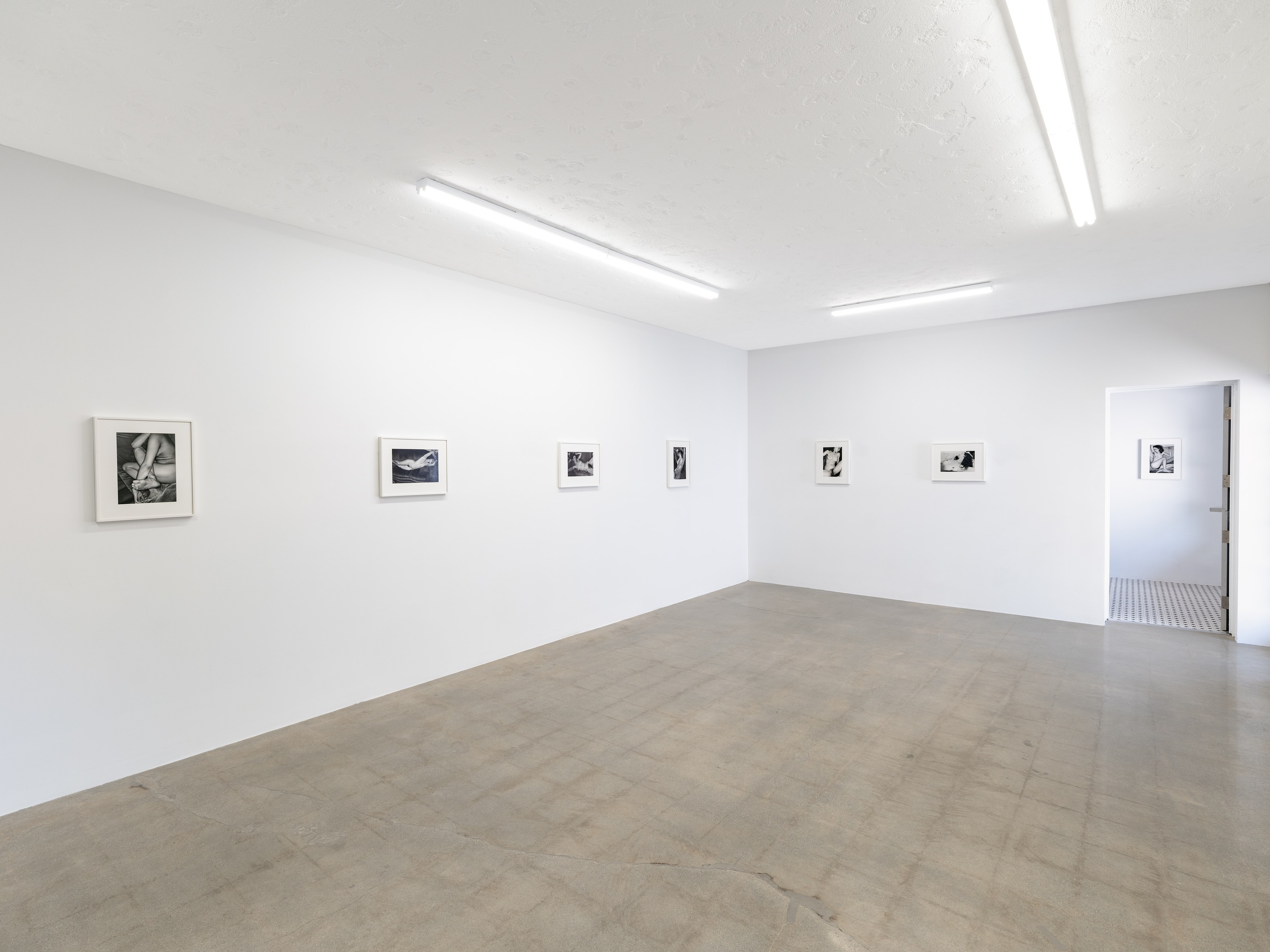 Lee Friedlander, 10 Nudes at Castle, photo 6