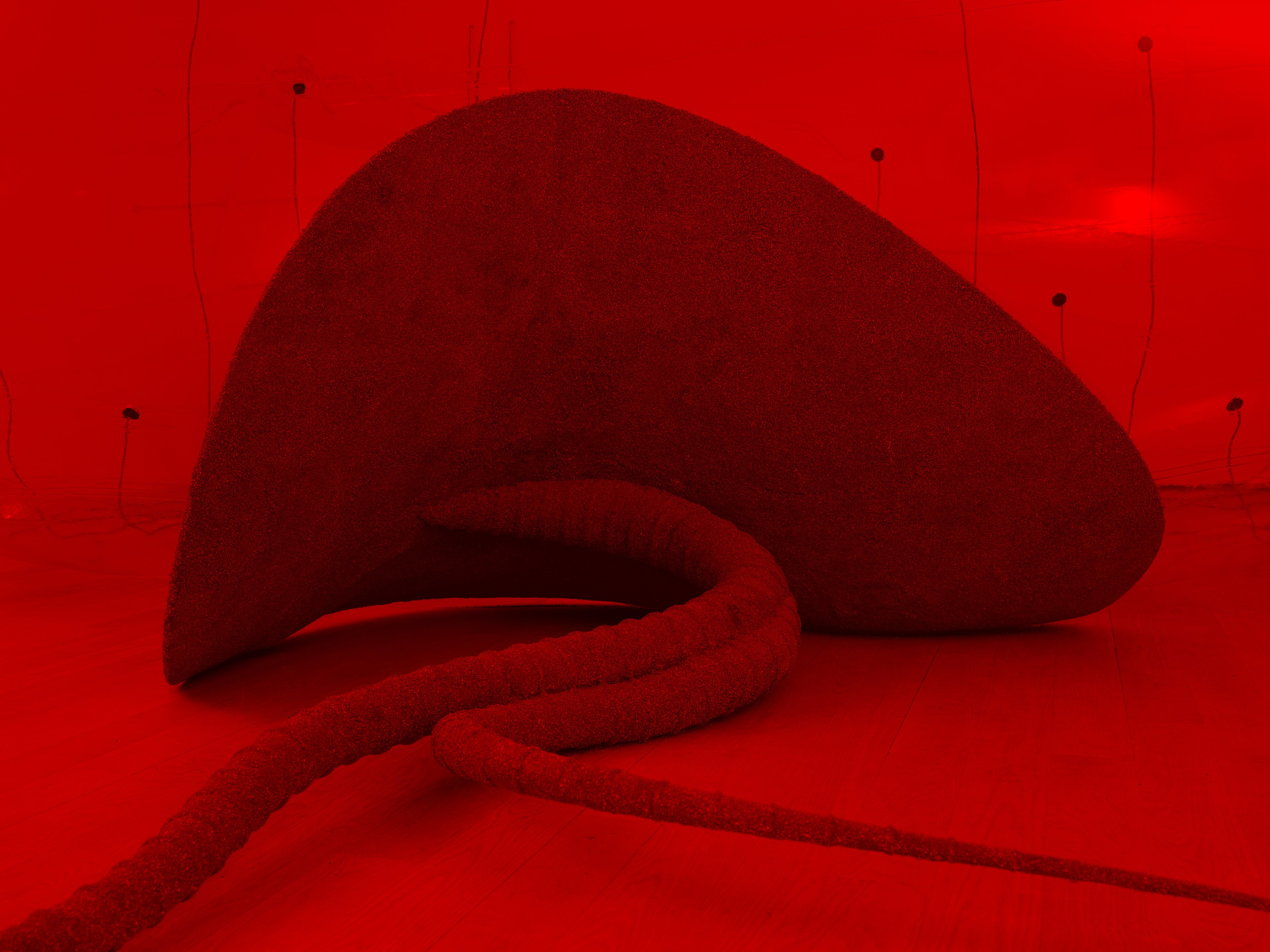 Installation view 4