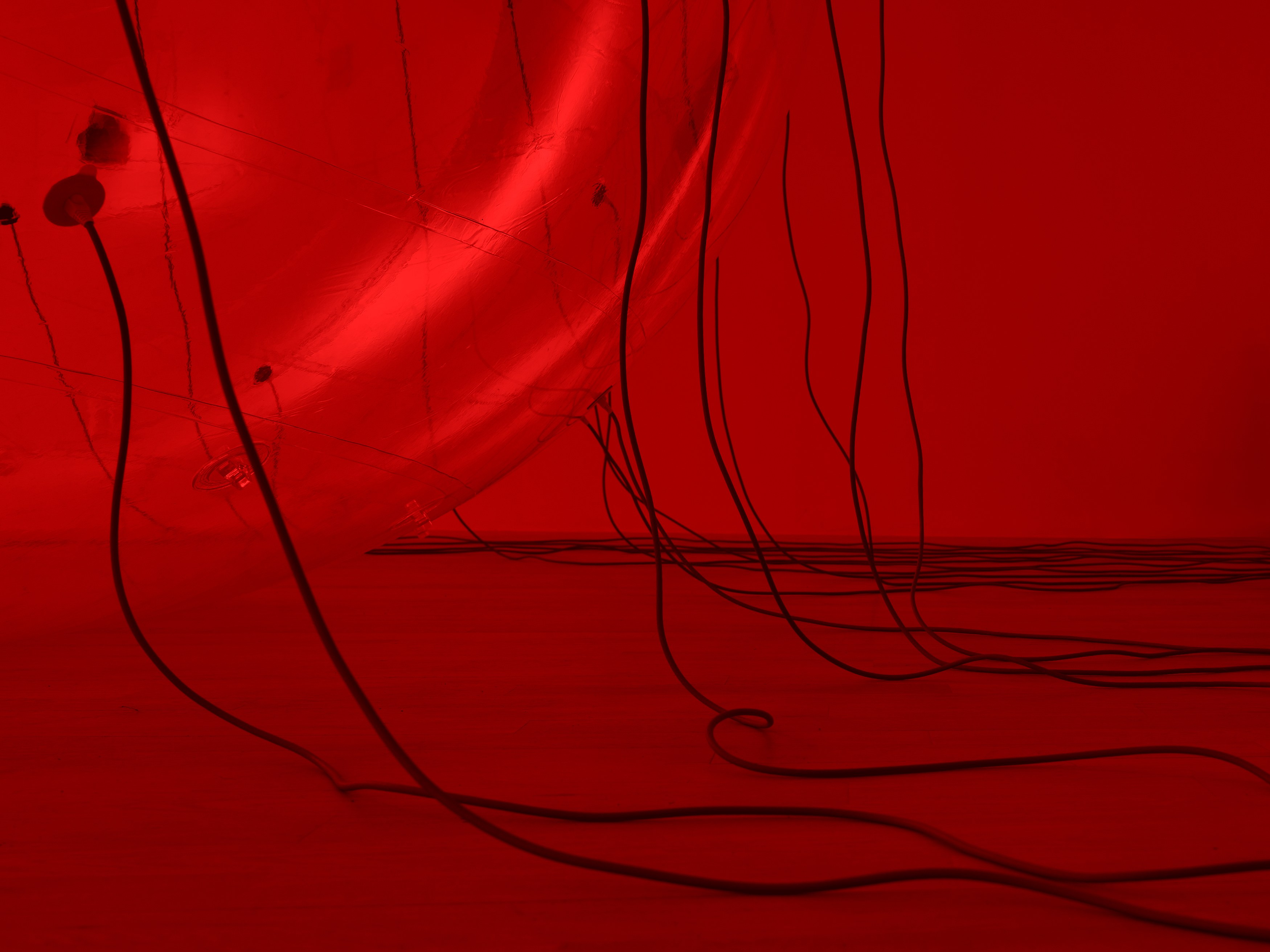 Installation view 8
