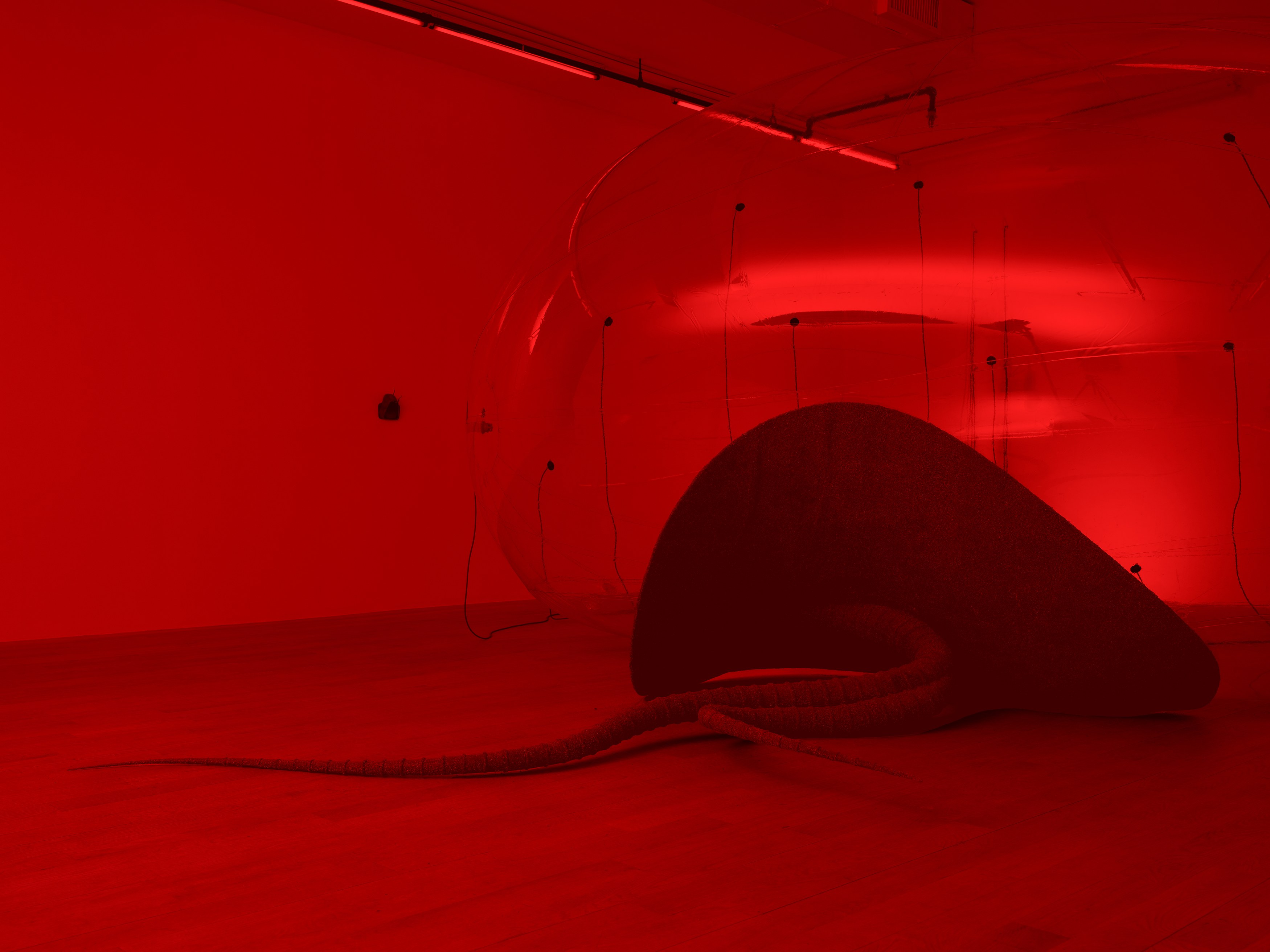 Installation view 11
