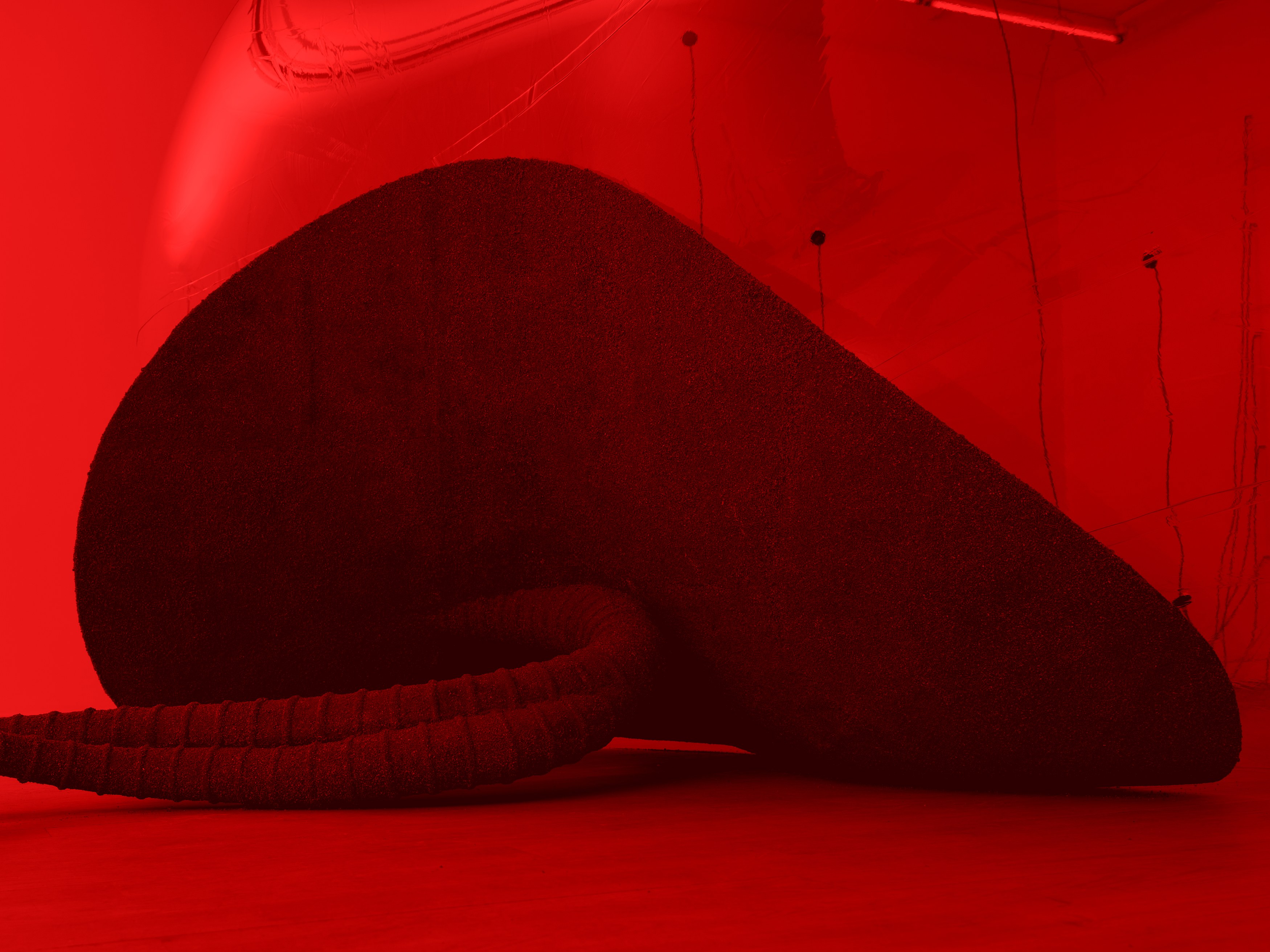 Installation view 9