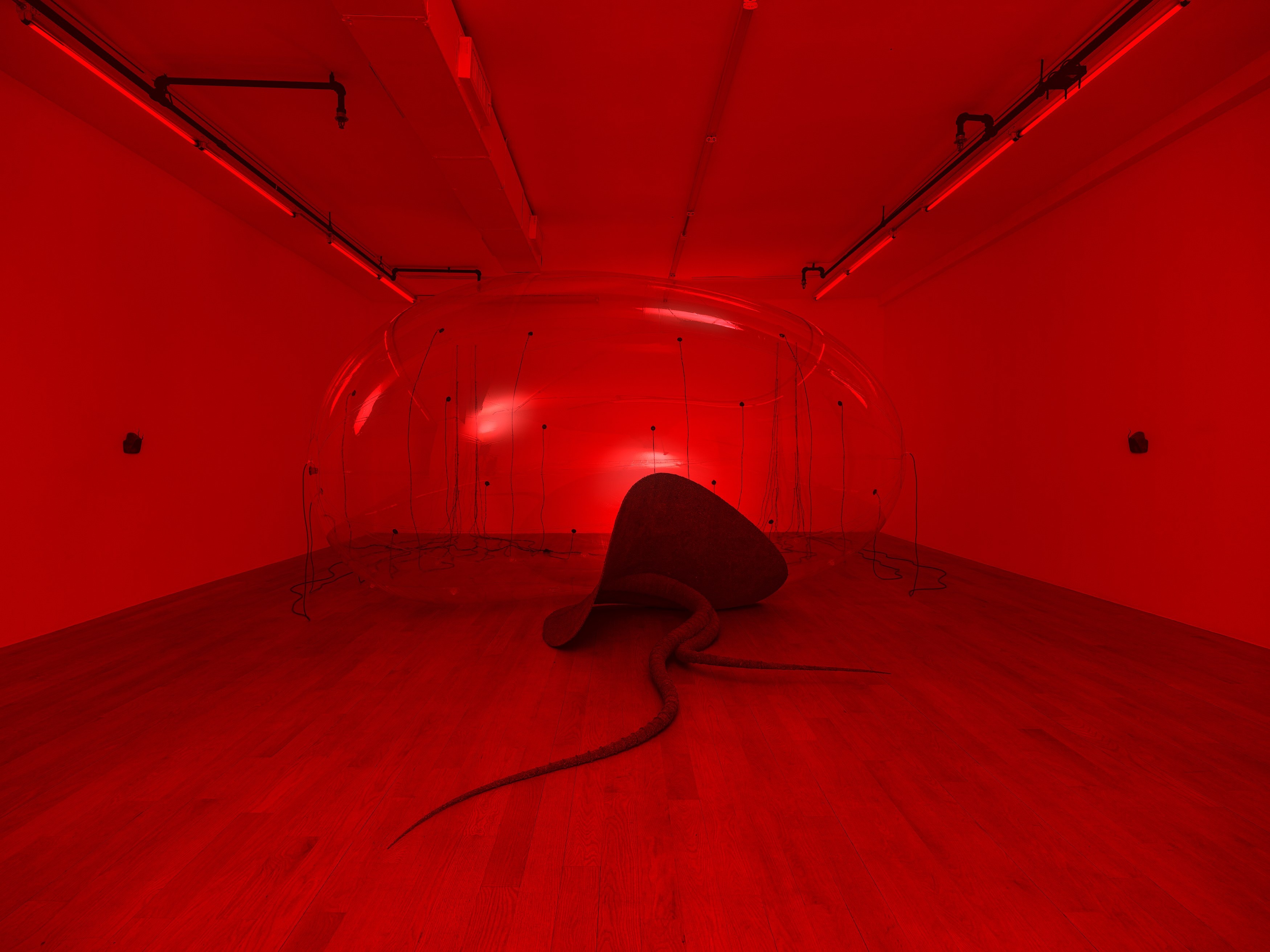 Installation view 10