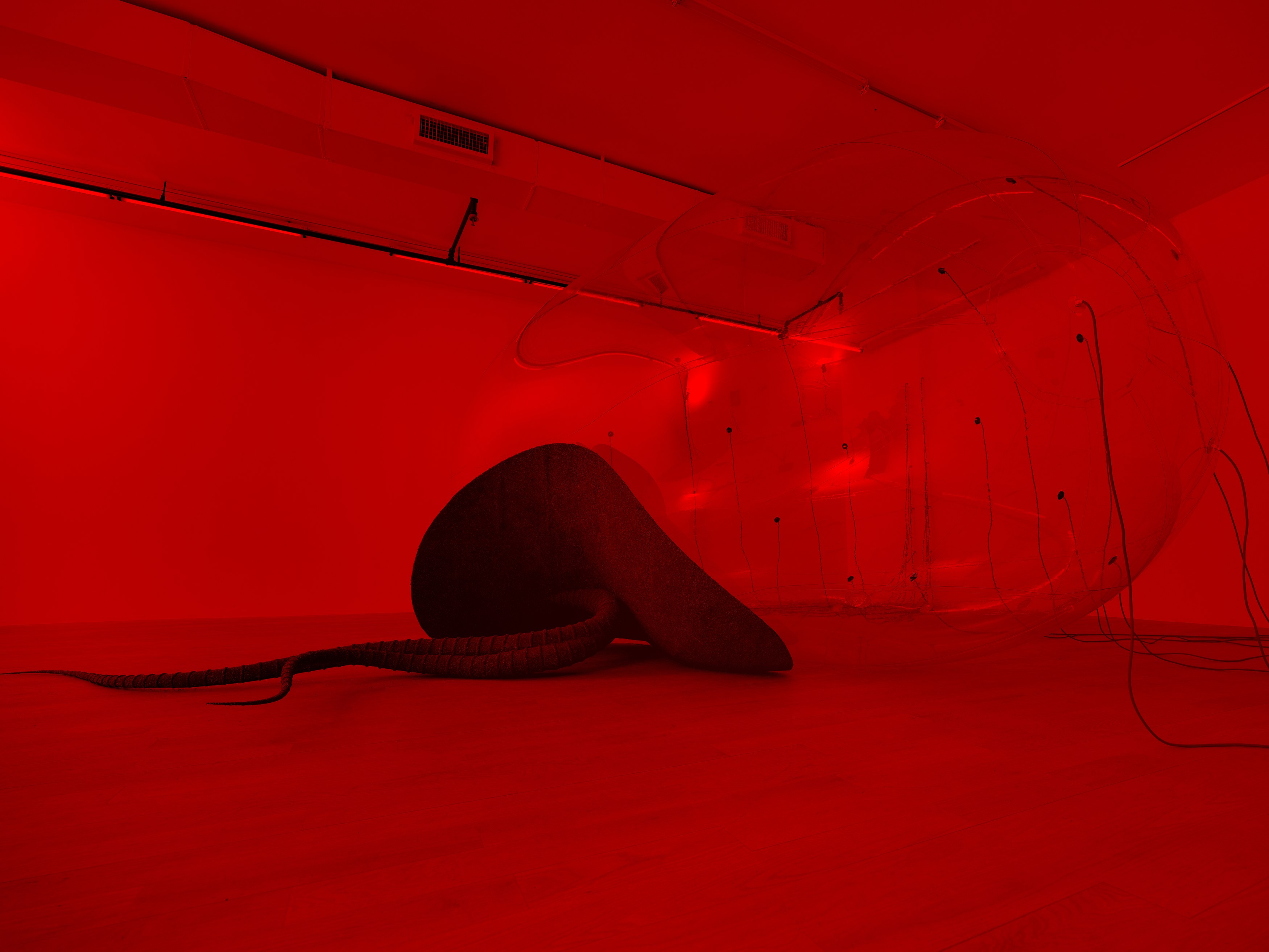 Installation view 12