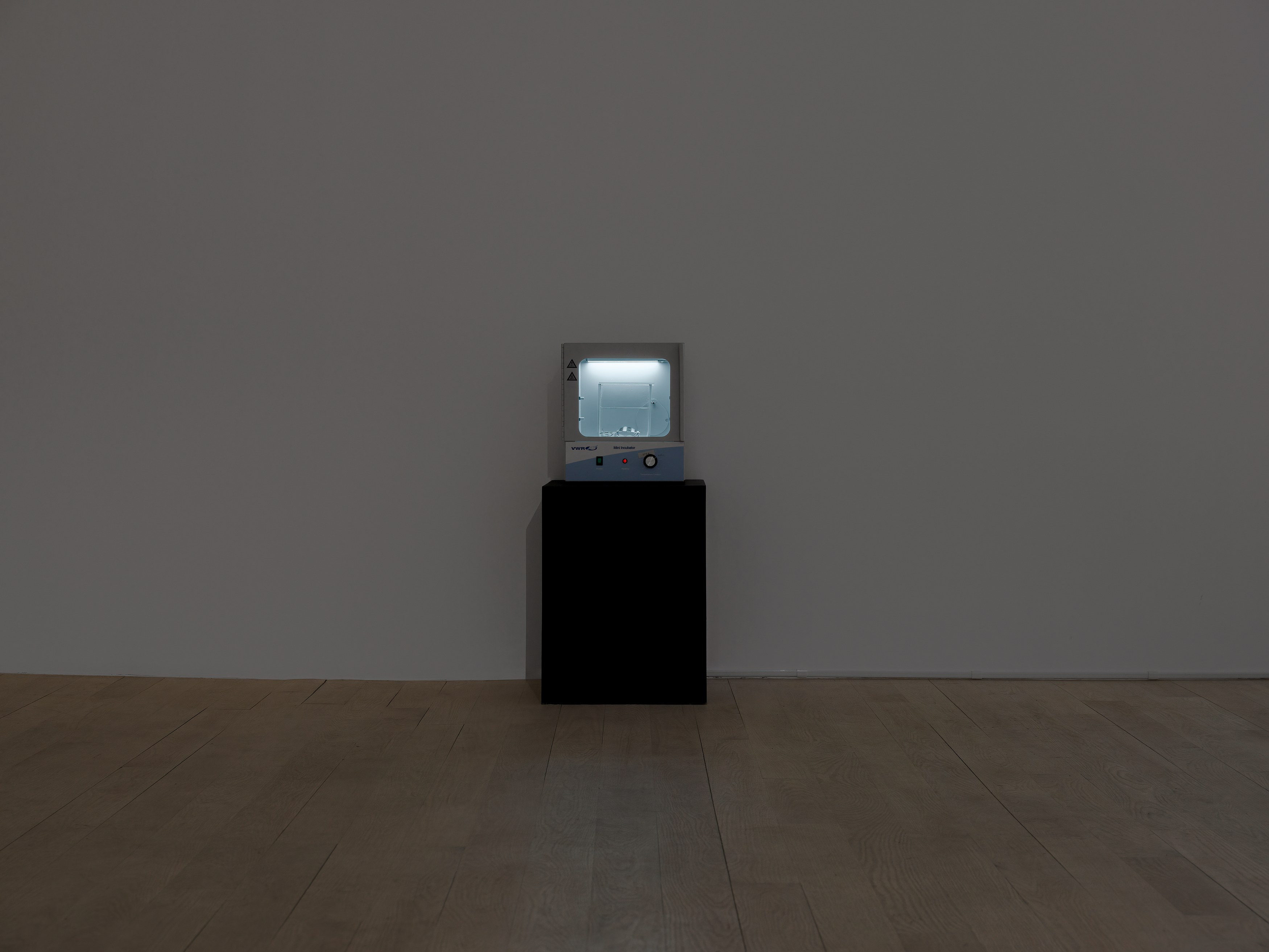 Installation view 3
