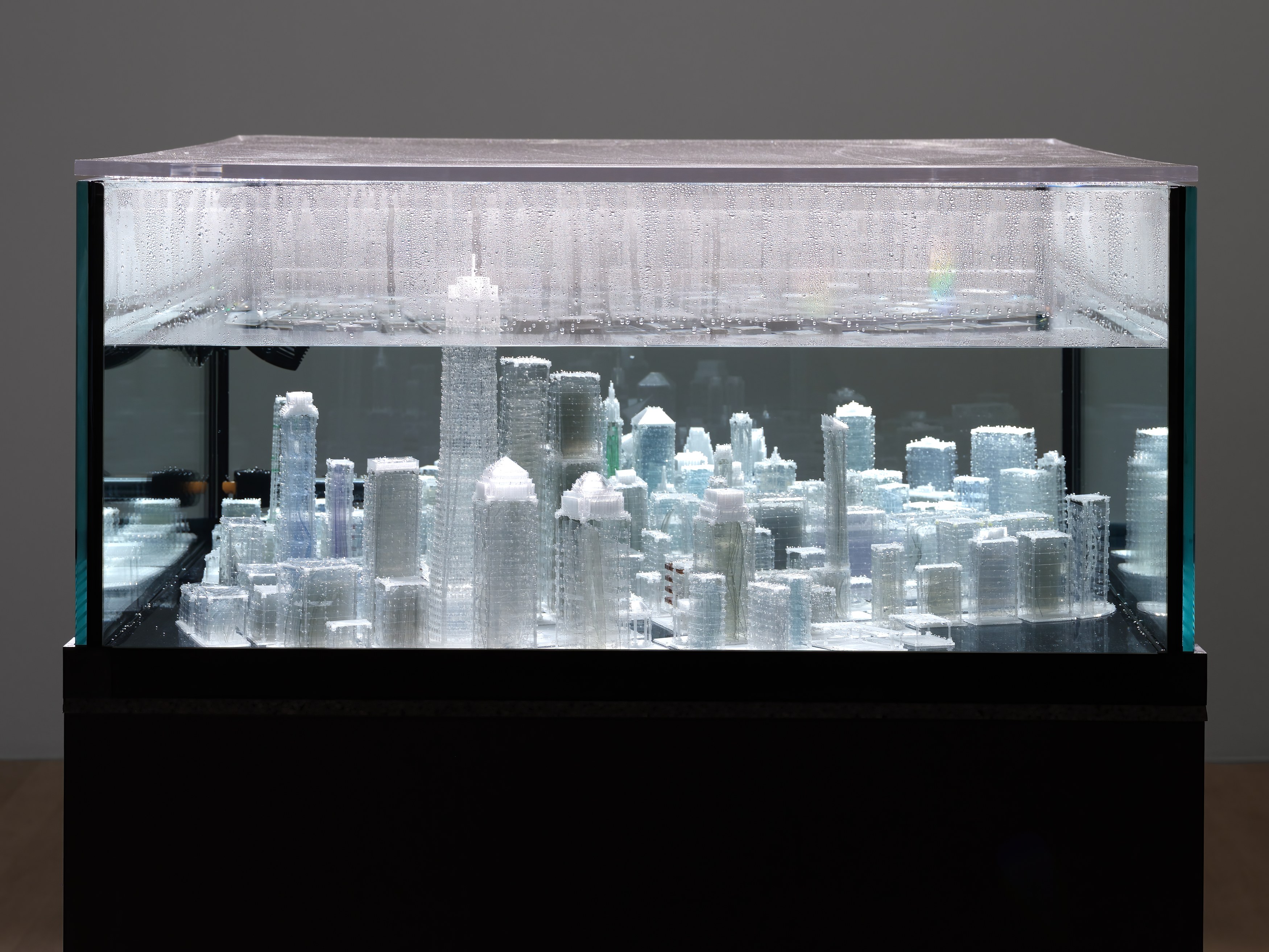 Installation view 6