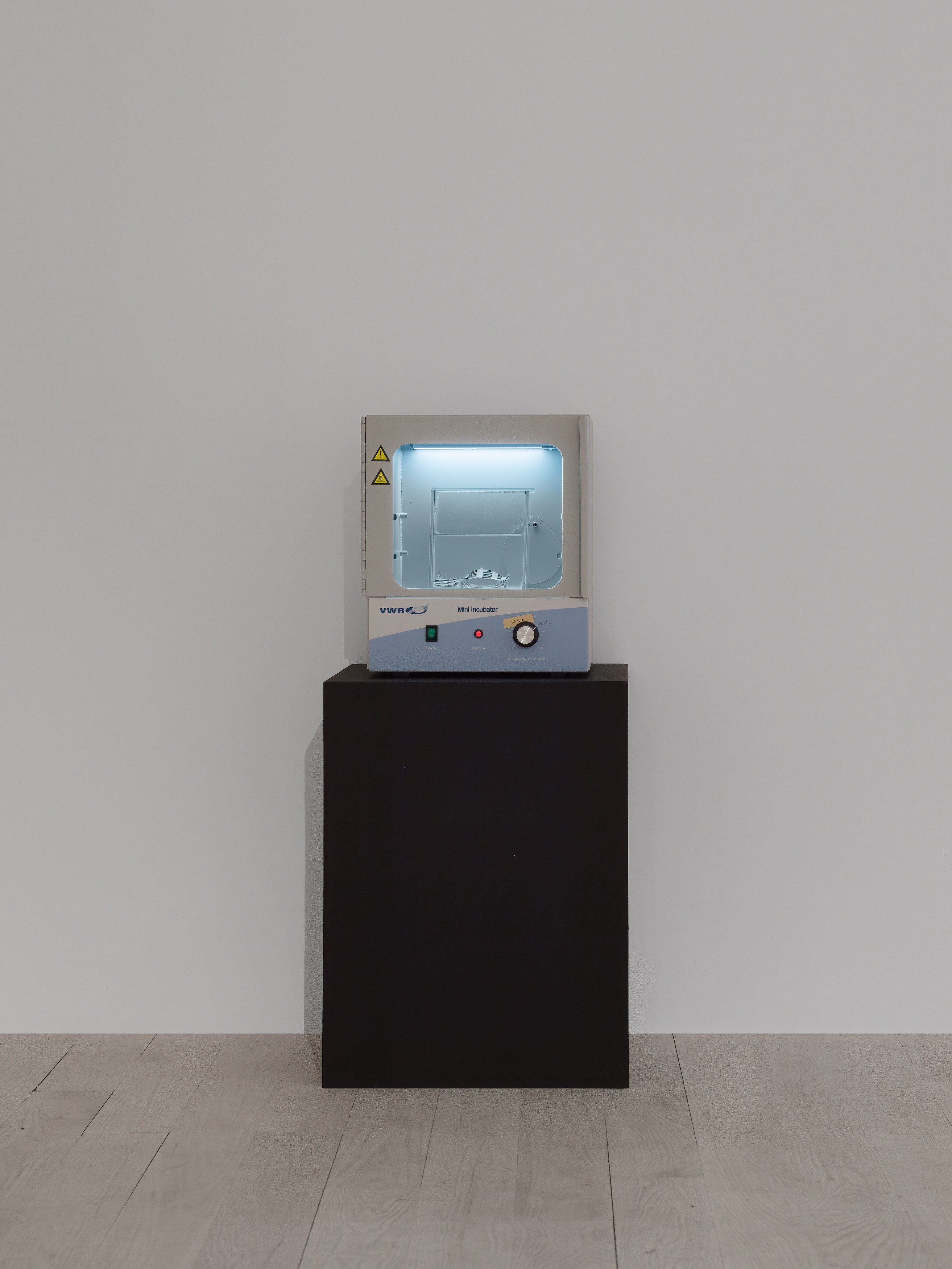 Installation view 4