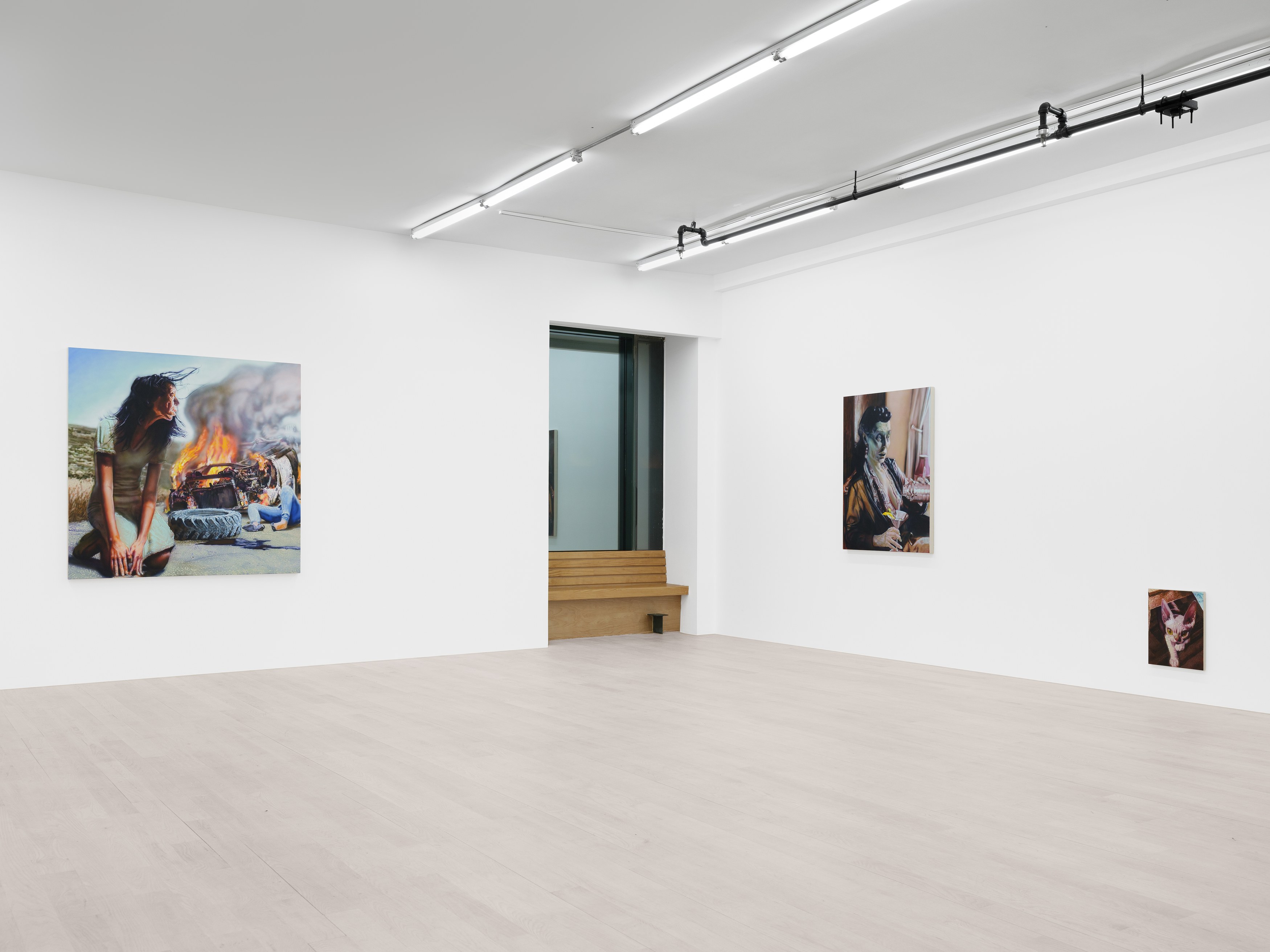 Installation view 12