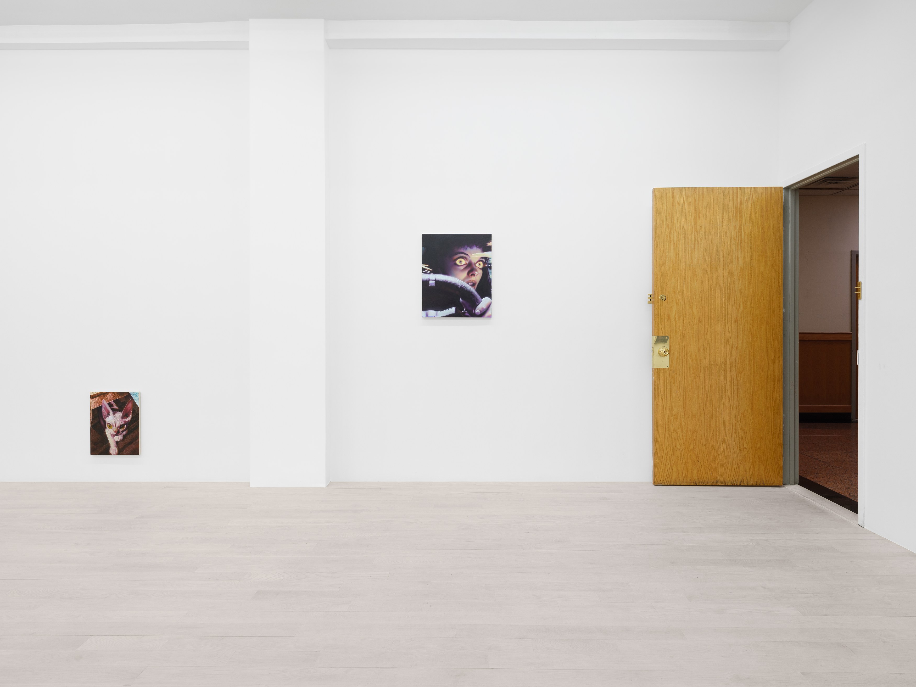 Installation view 11
