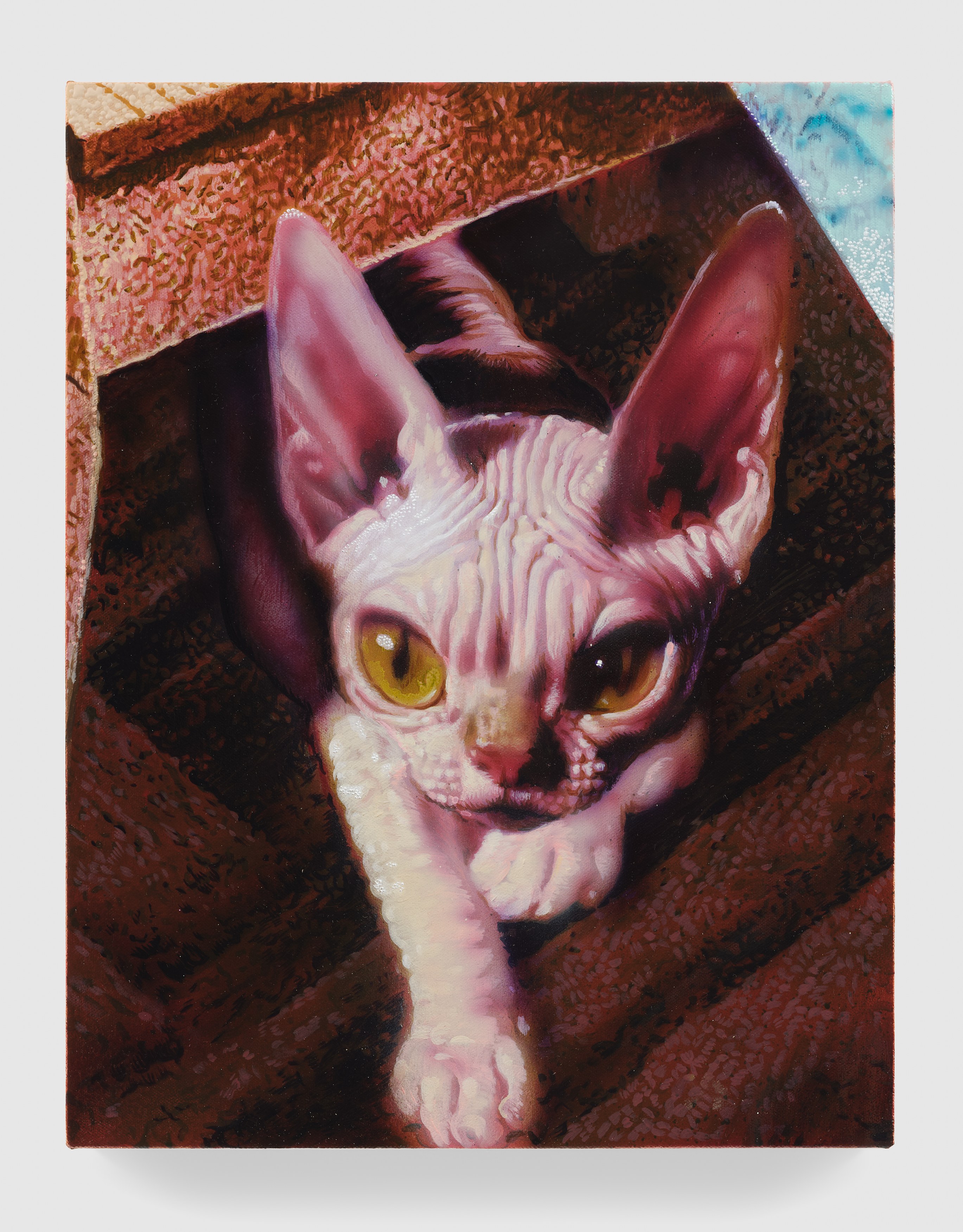 Tim Brawner, Last Caress at Management, photo 20