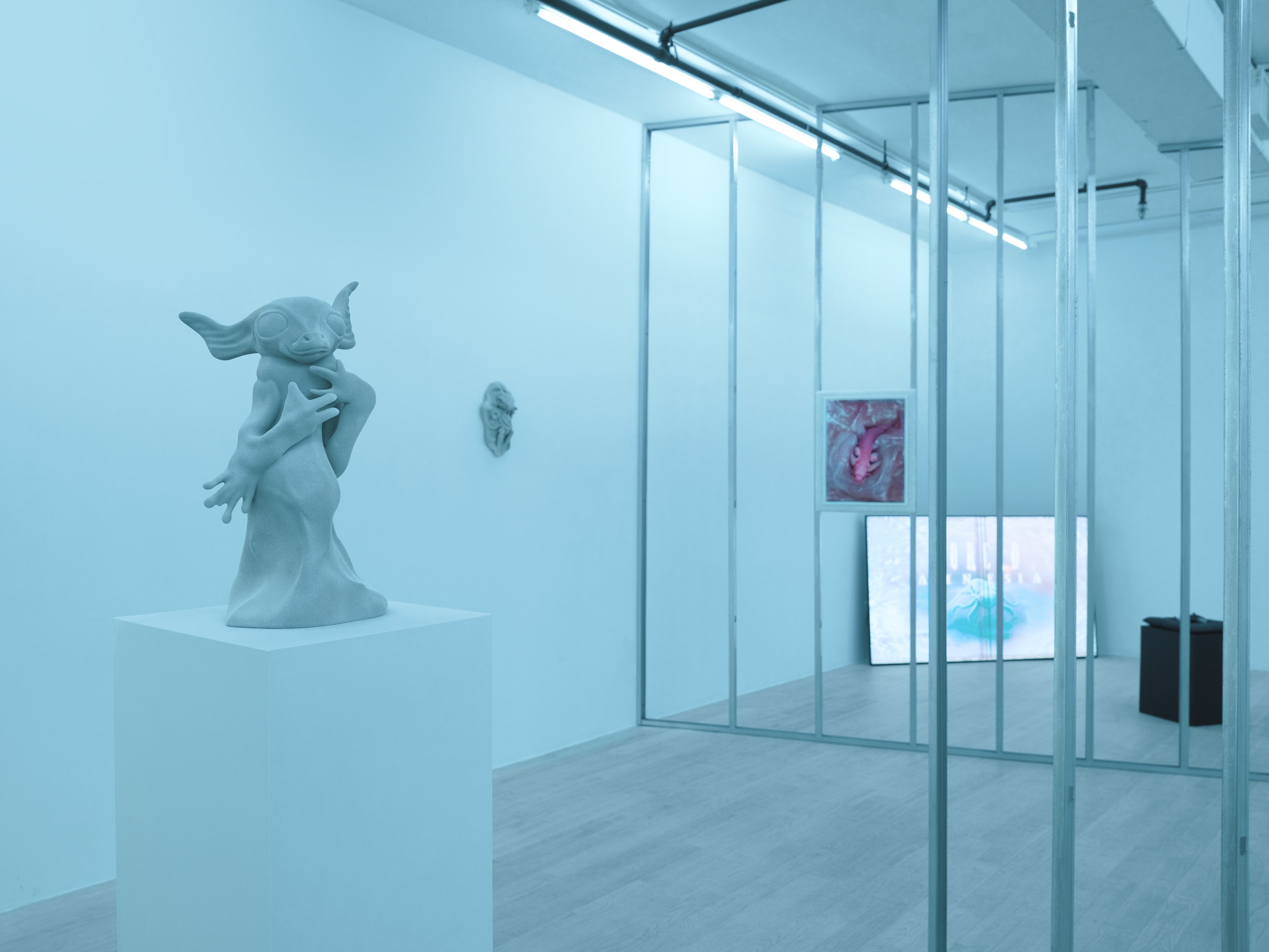 Installation view 4