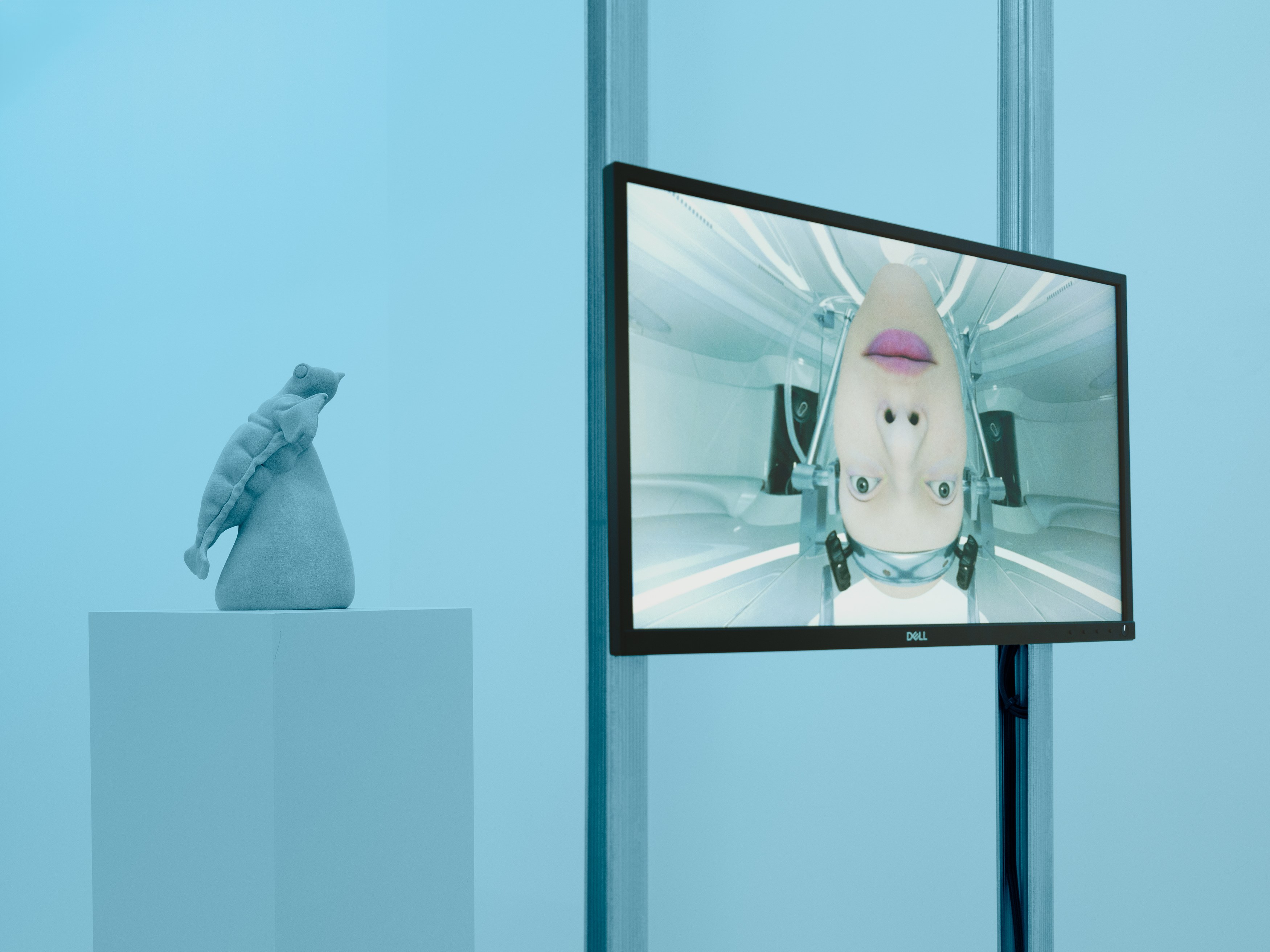 Installation view 9