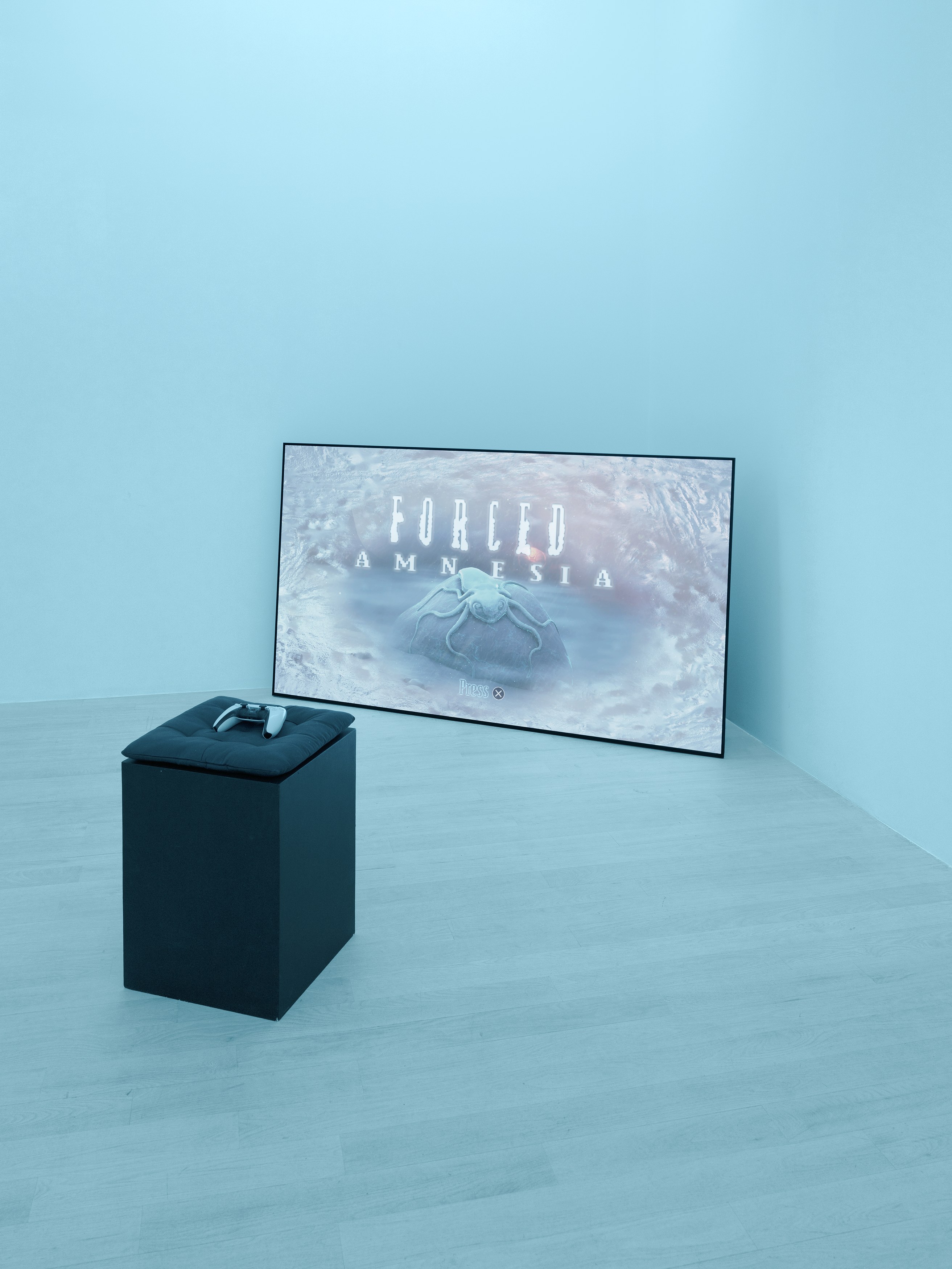 Installation view 8