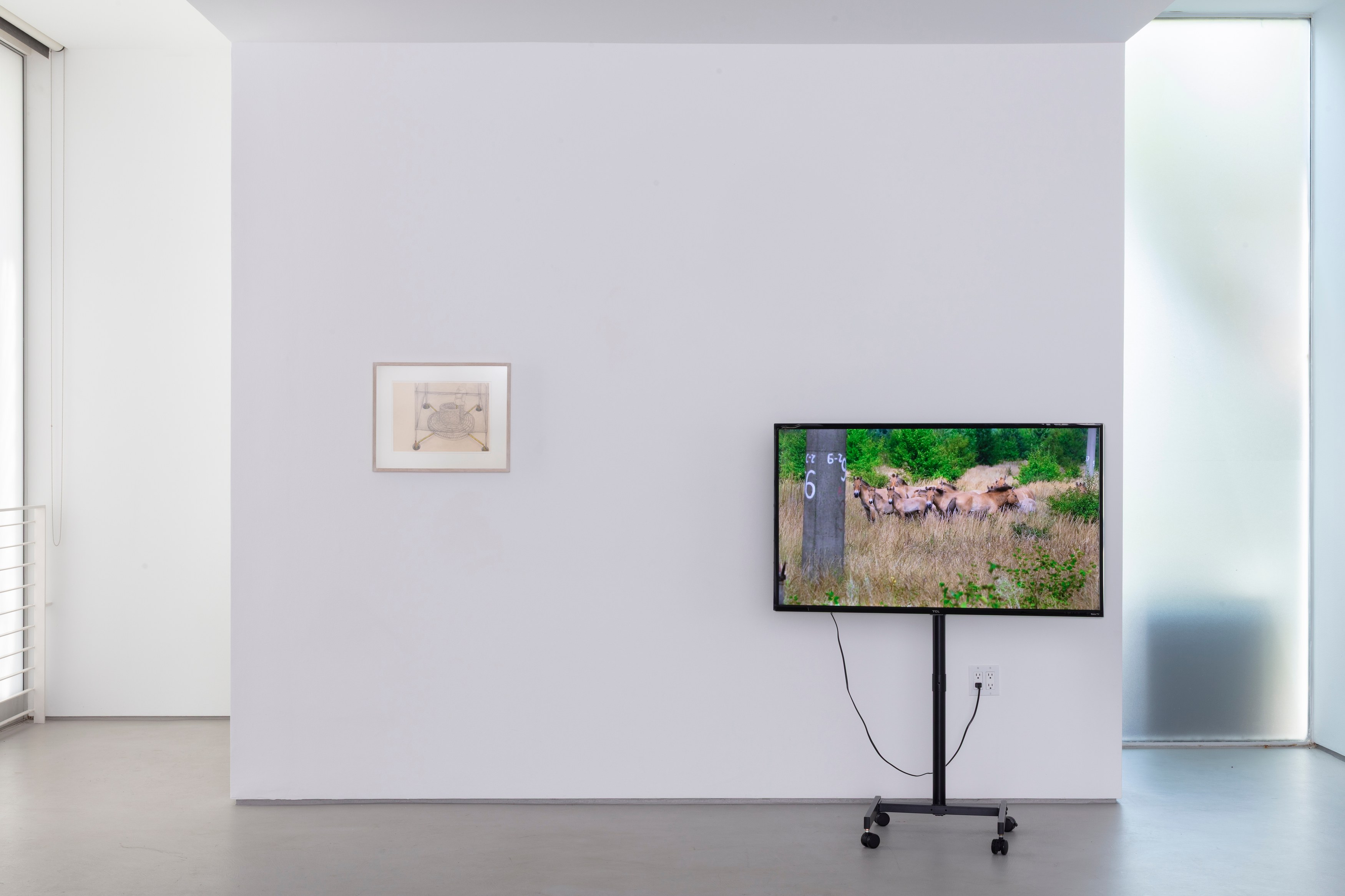 Sophie Friedman-Pappas, Anna Jermolaewa, Untitled Energy at TV Bar, Berlin; Gidree Bawlee Foundation of Arts, Dhaka; 16/16, Lagos; Casa Pani, Mexico City; Honey's, New York; LAMYLAND, Paris; Caracol, São Paulo; Club All, Shanghai; Pejman Foundation, Tehran; Fig., Tokyo; Der TANK, Basel; SCHLOSS, Oslo; MAK Center f, photo 2