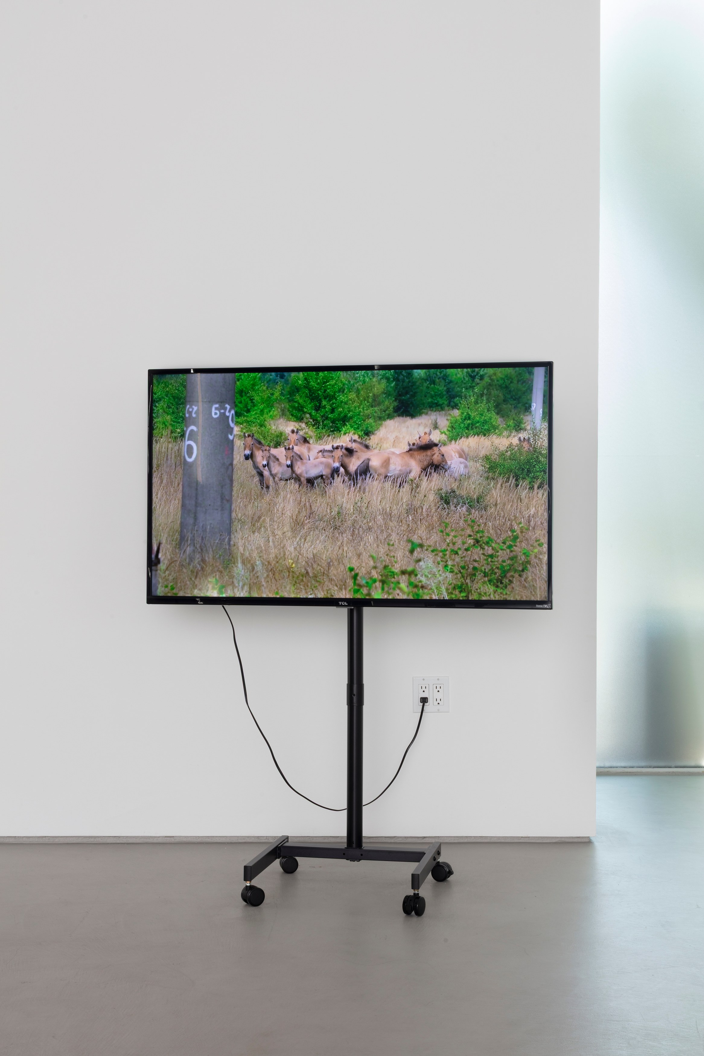 Sophie Friedman-Pappas, Anna Jermolaewa, Untitled Energy at TV Bar, Berlin; Gidree Bawlee Foundation of Arts, Dhaka; 16/16, Lagos; Casa Pani, Mexico City; Honey's, New York; LAMYLAND, Paris; Caracol, São Paulo; Club All, Shanghai; Pejman Foundation, Tehran; Fig., Tokyo; Der TANK, Basel; SCHLOSS, Oslo; MAK Center f, photo 3