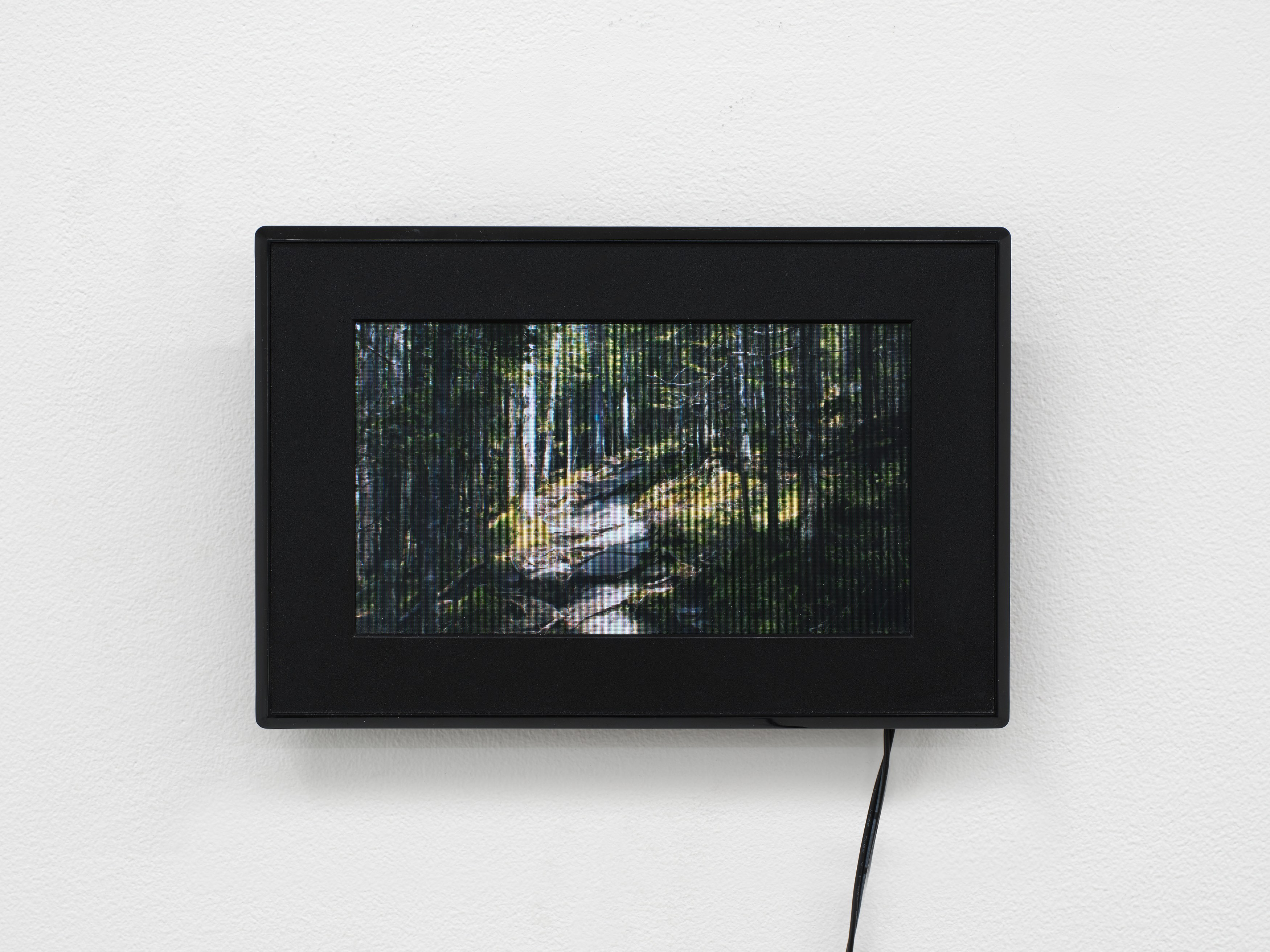 Juliana Halpert, Chris Kraus, The Sunday of Life at Bel Ami, photo 33