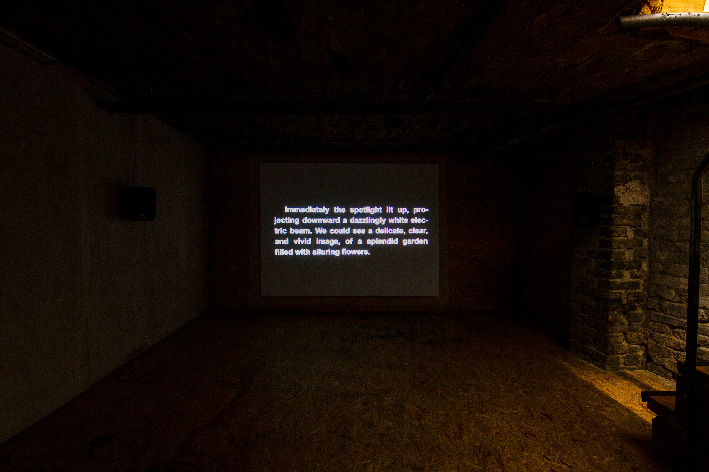 Gabbi Cattani, image 19 of 22