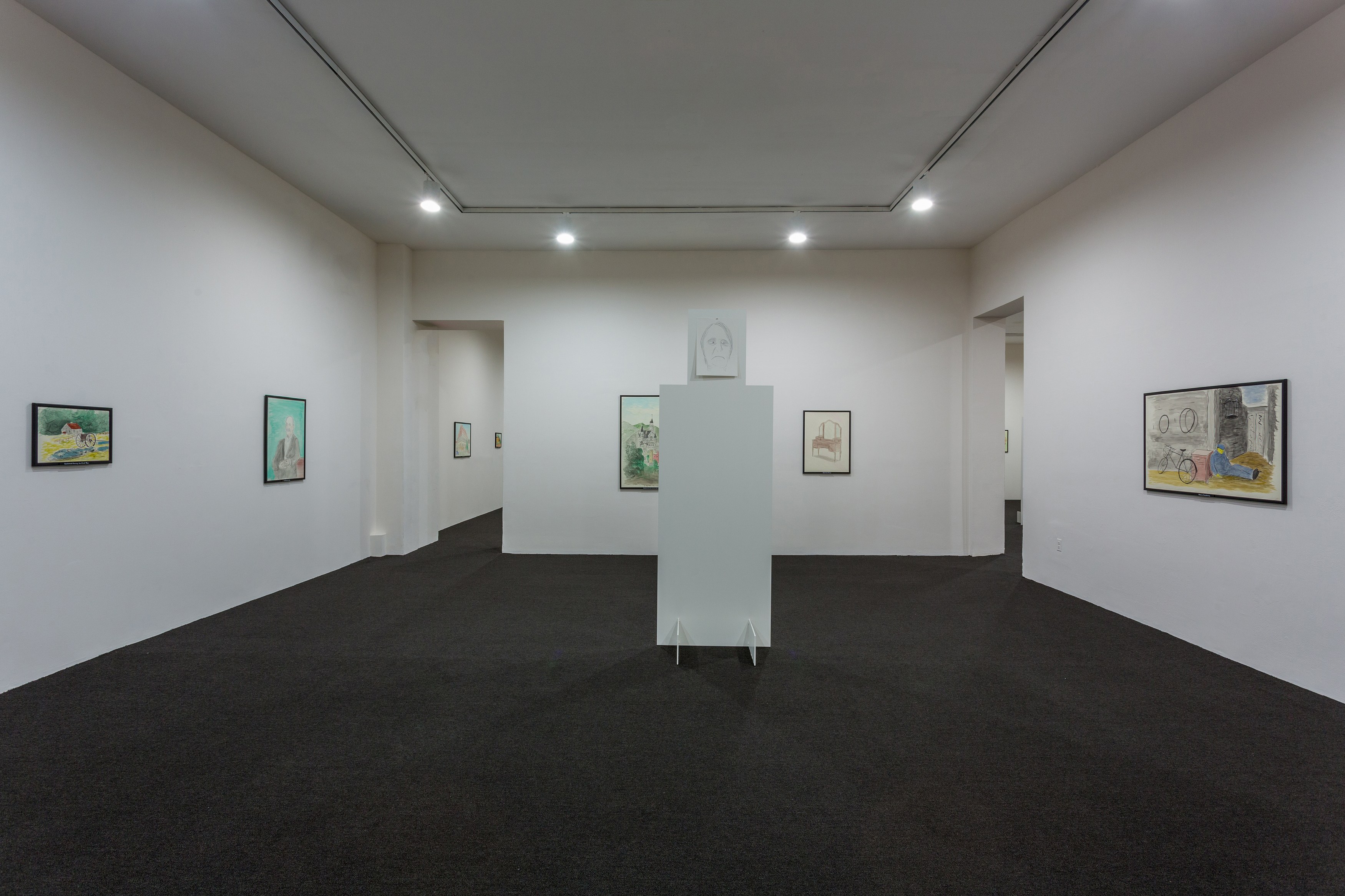 Jos de Gruyter & Harald Thys, Fine Arts at MoMA PS1, photo 8