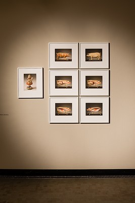 Image 17 of 26