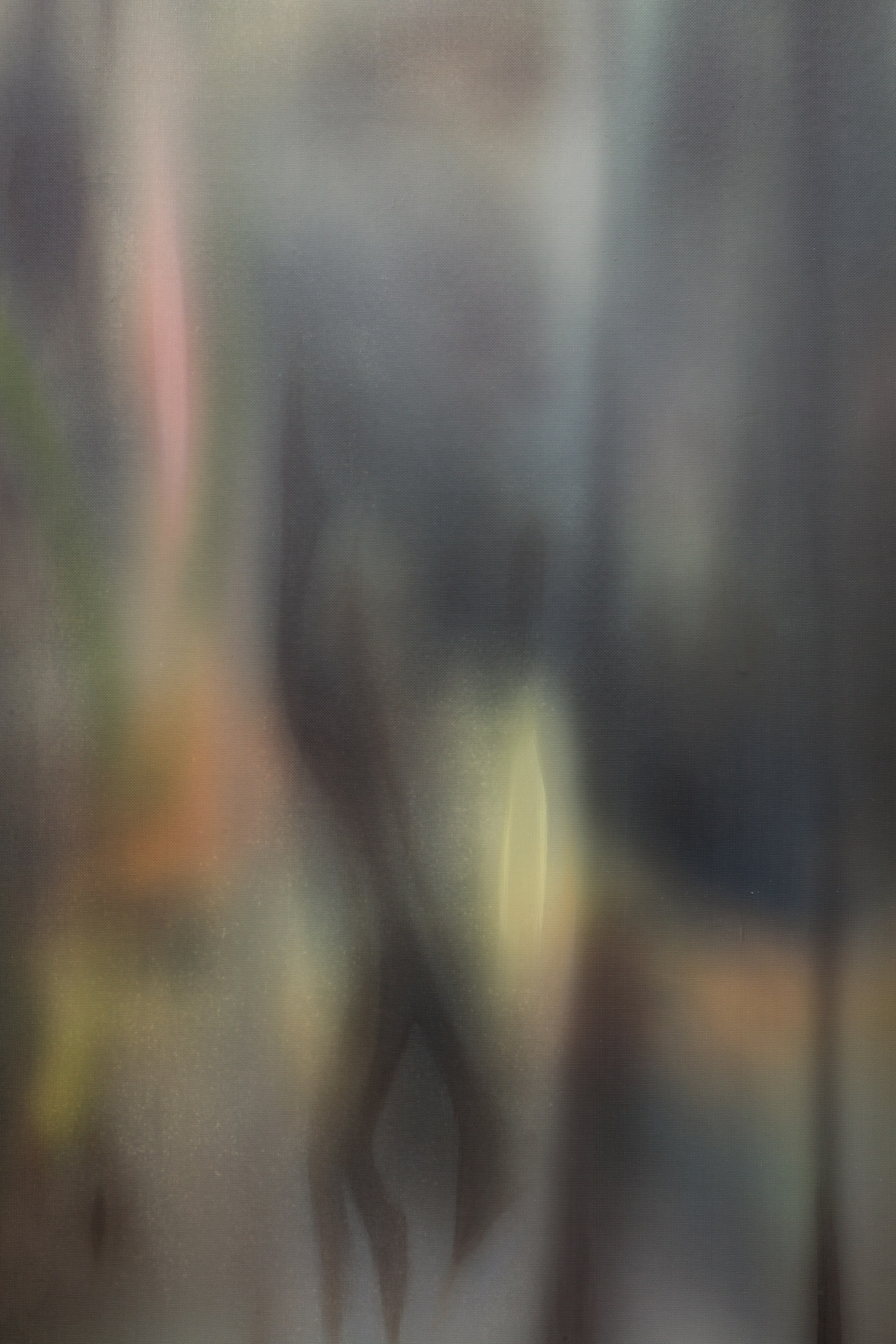 Sam Hemmenway, Spectacles at Niko, photo 12