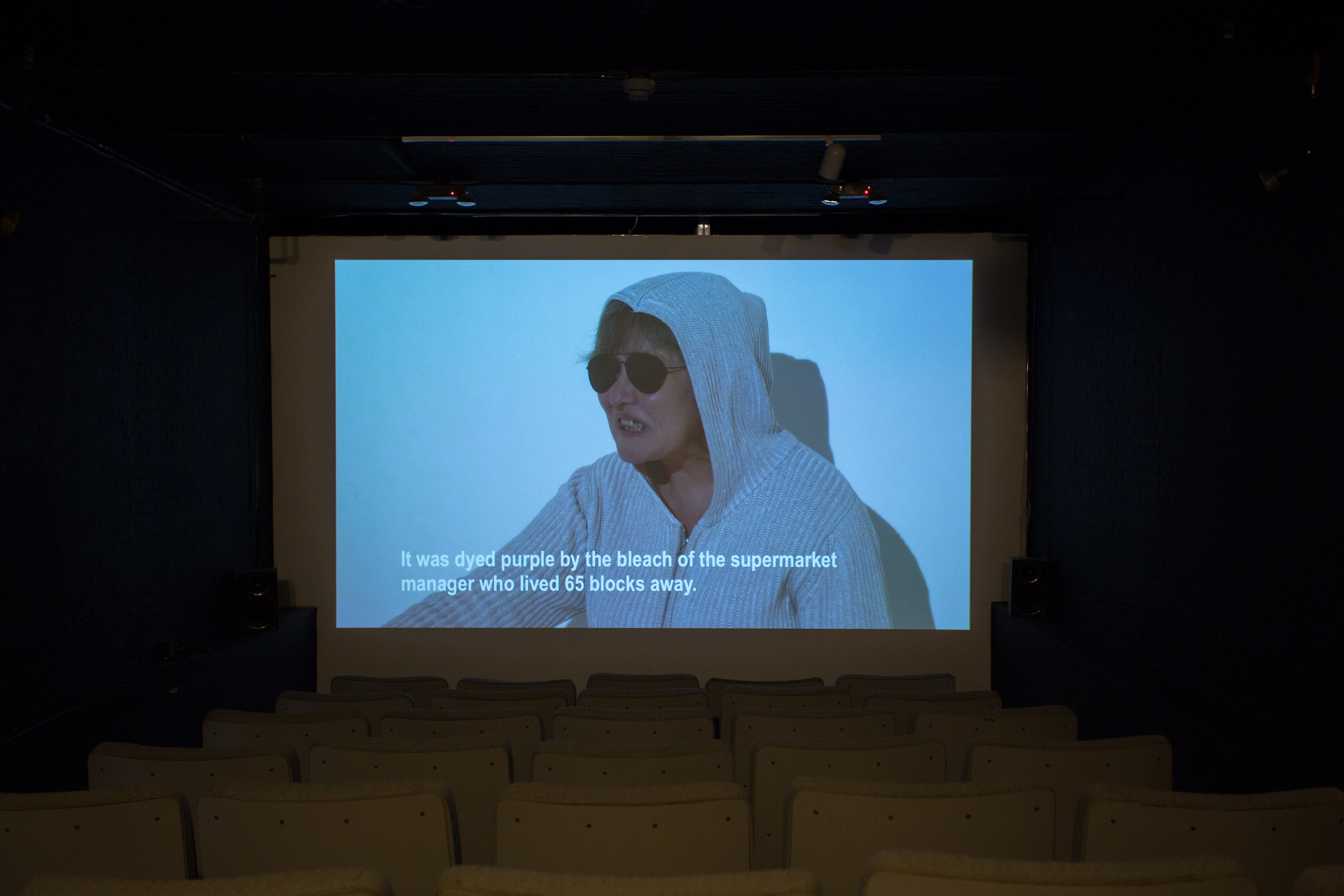 Jos de Gruyter & Harald Thys, Fine Arts at MoMA PS1, photo 57