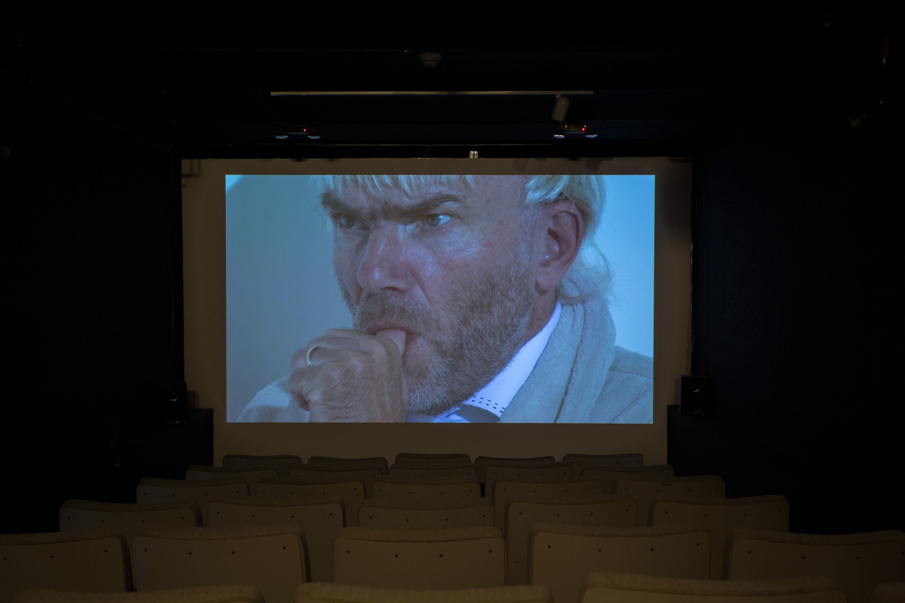 Jos de Gruyter & Harald Thys, Fine Arts at MoMA PS1, photo 58