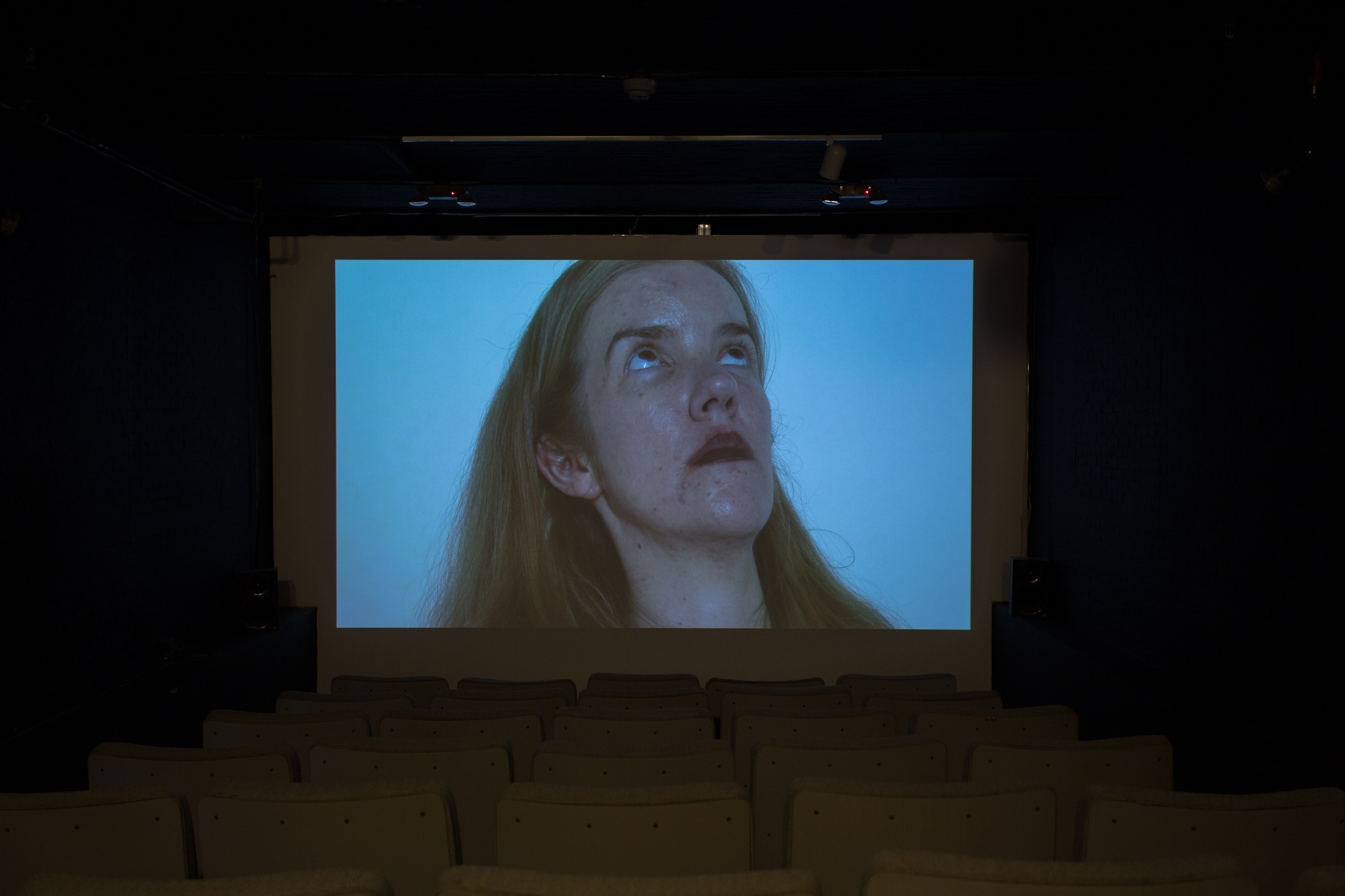 Jos de Gruyter & Harald Thys, Fine Arts at MoMA PS1, photo 59