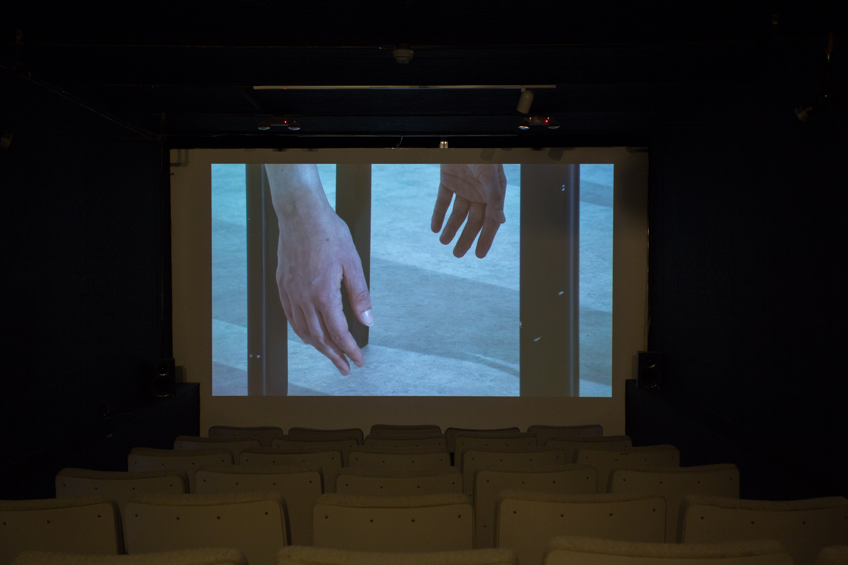 Jos de Gruyter & Harald Thys, Fine Arts at MoMA PS1, photo 60