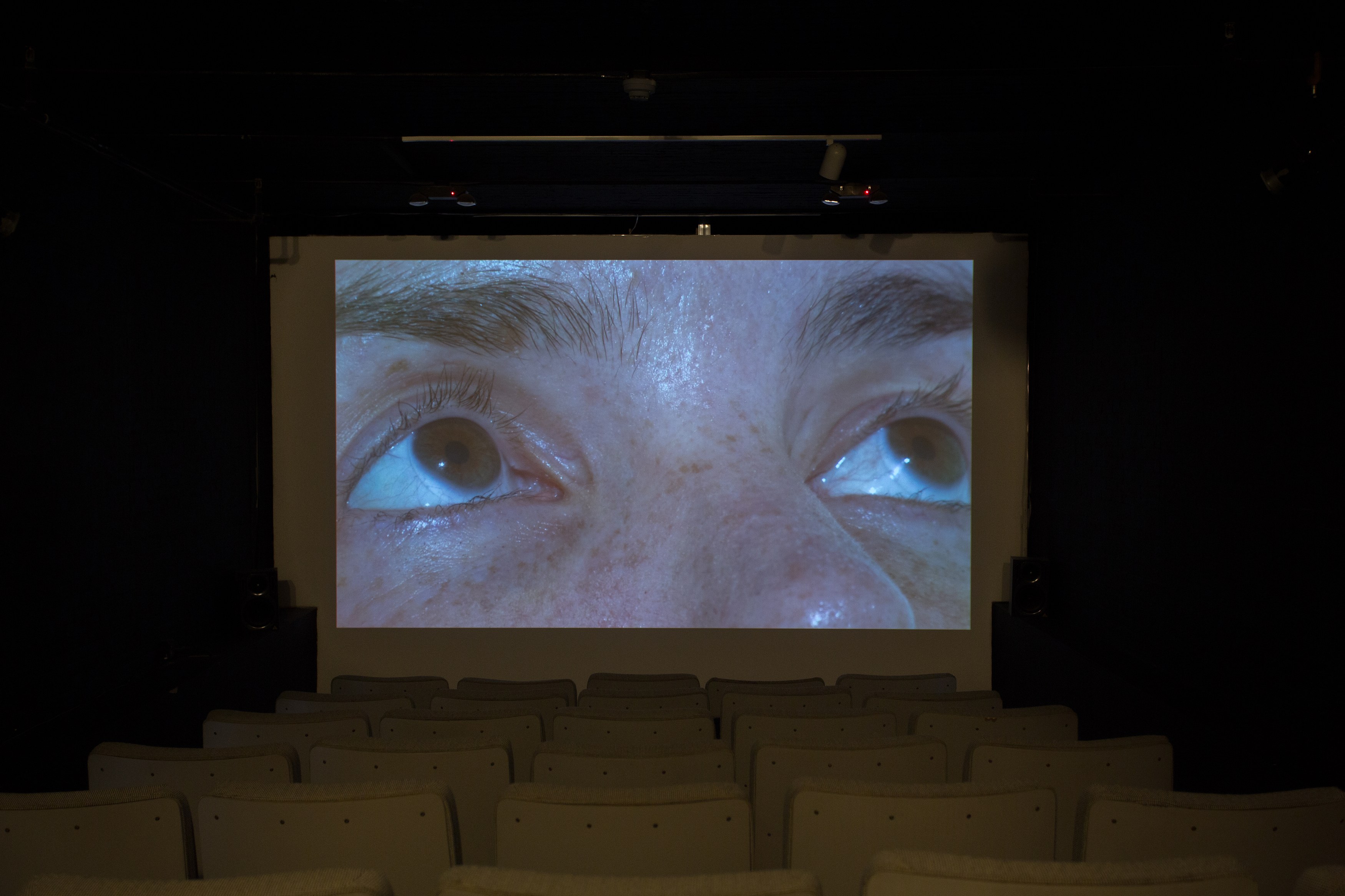 Jos de Gruyter & Harald Thys, Fine Arts at MoMA PS1, photo 61