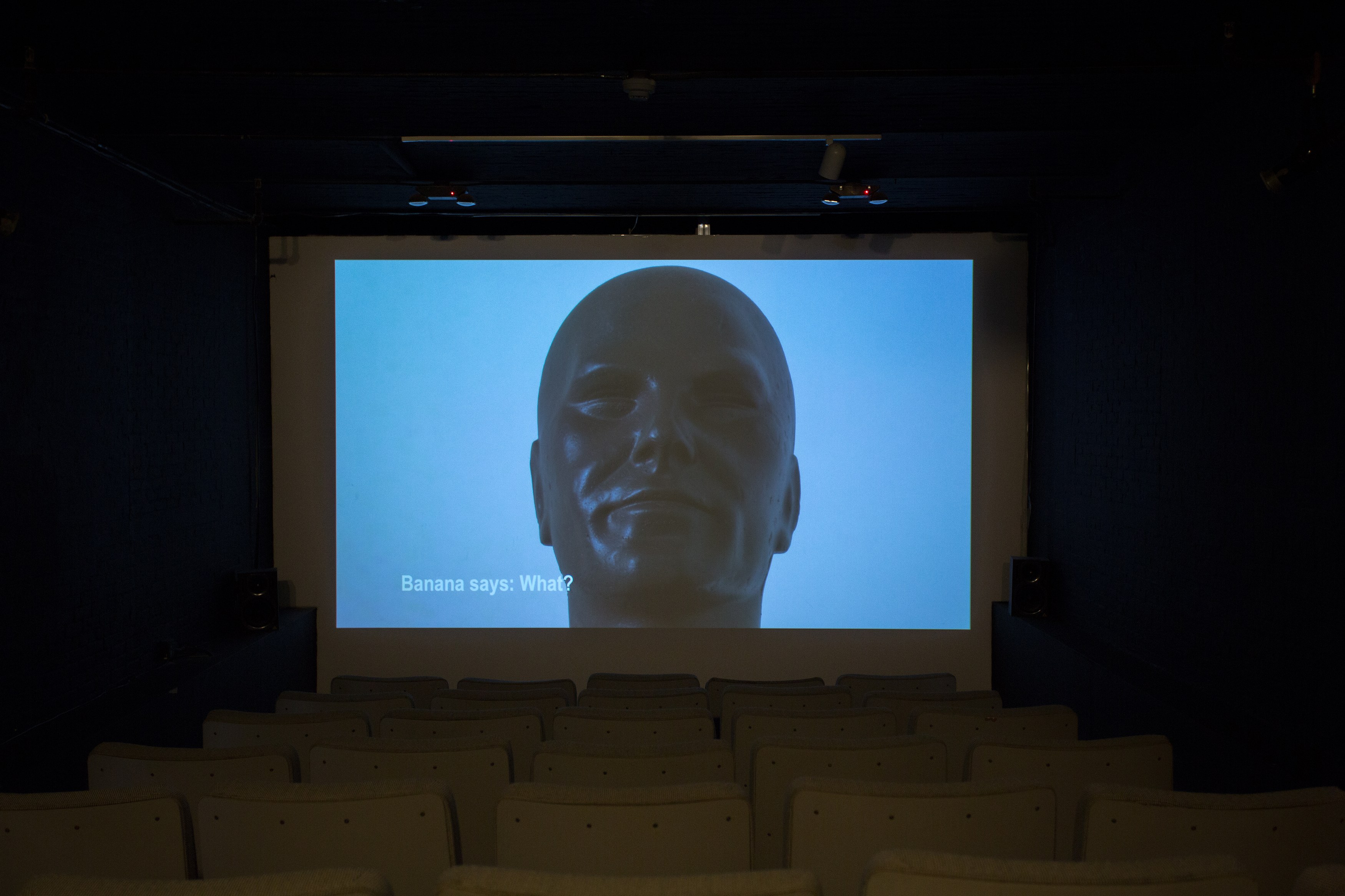 Jos de Gruyter & Harald Thys, Fine Arts at MoMA PS1, photo 65