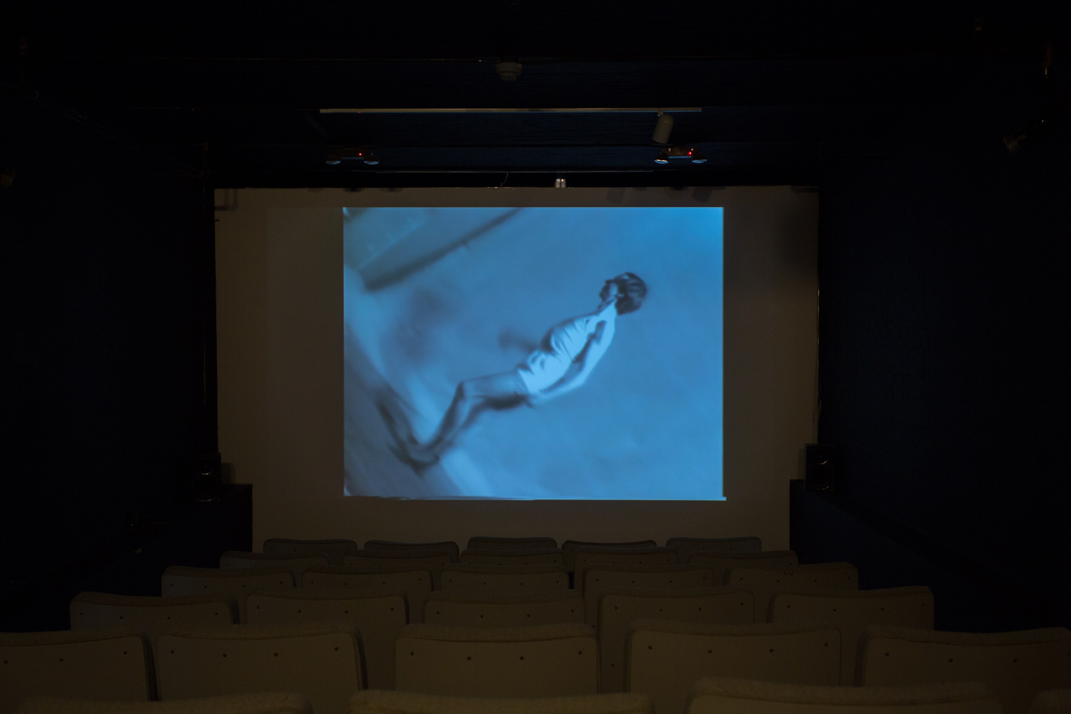 Jos de Gruyter & Harald Thys, Fine Arts at MoMA PS1, photo 66