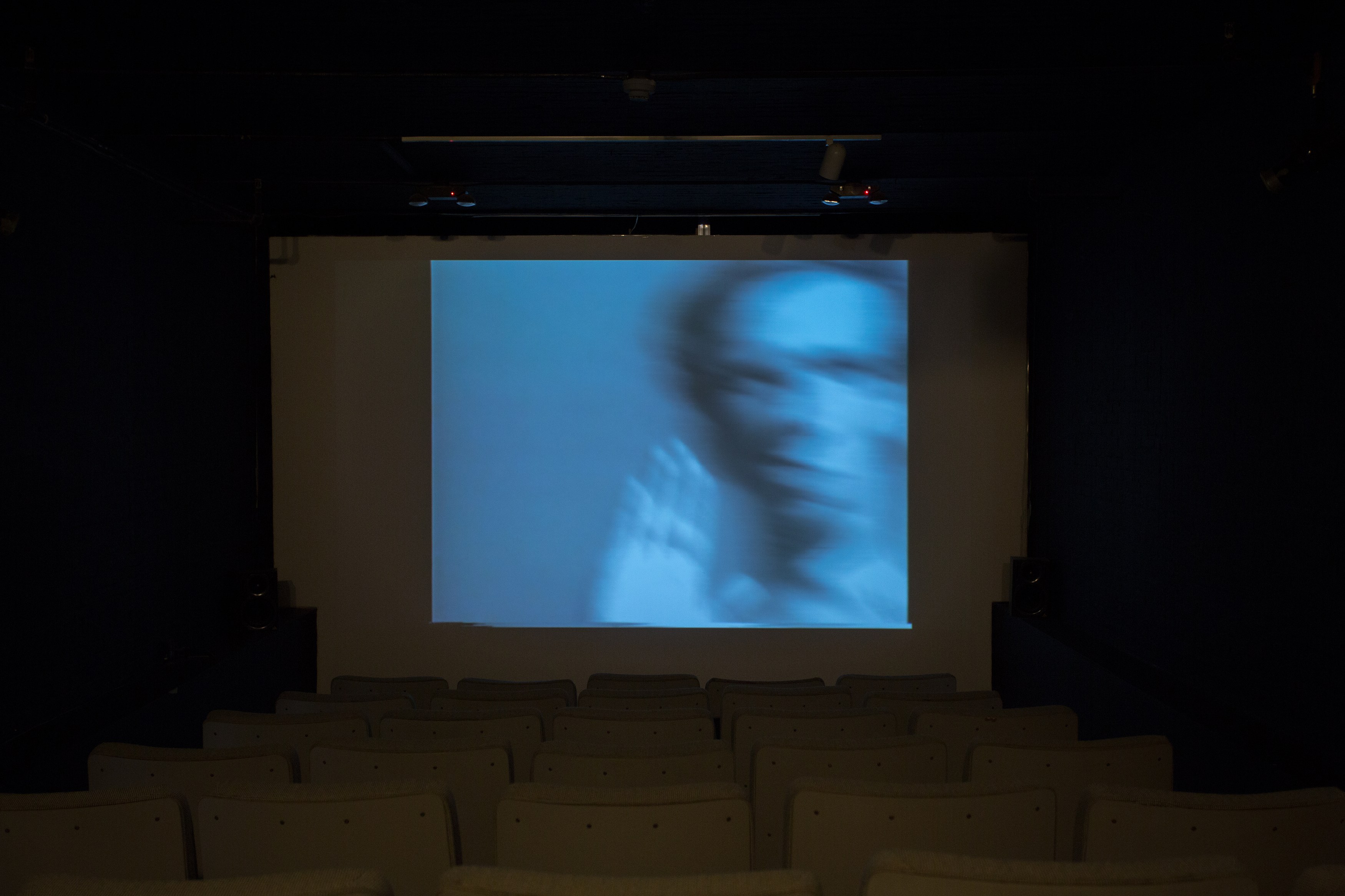 Jos de Gruyter & Harald Thys, Fine Arts at MoMA PS1, photo 67