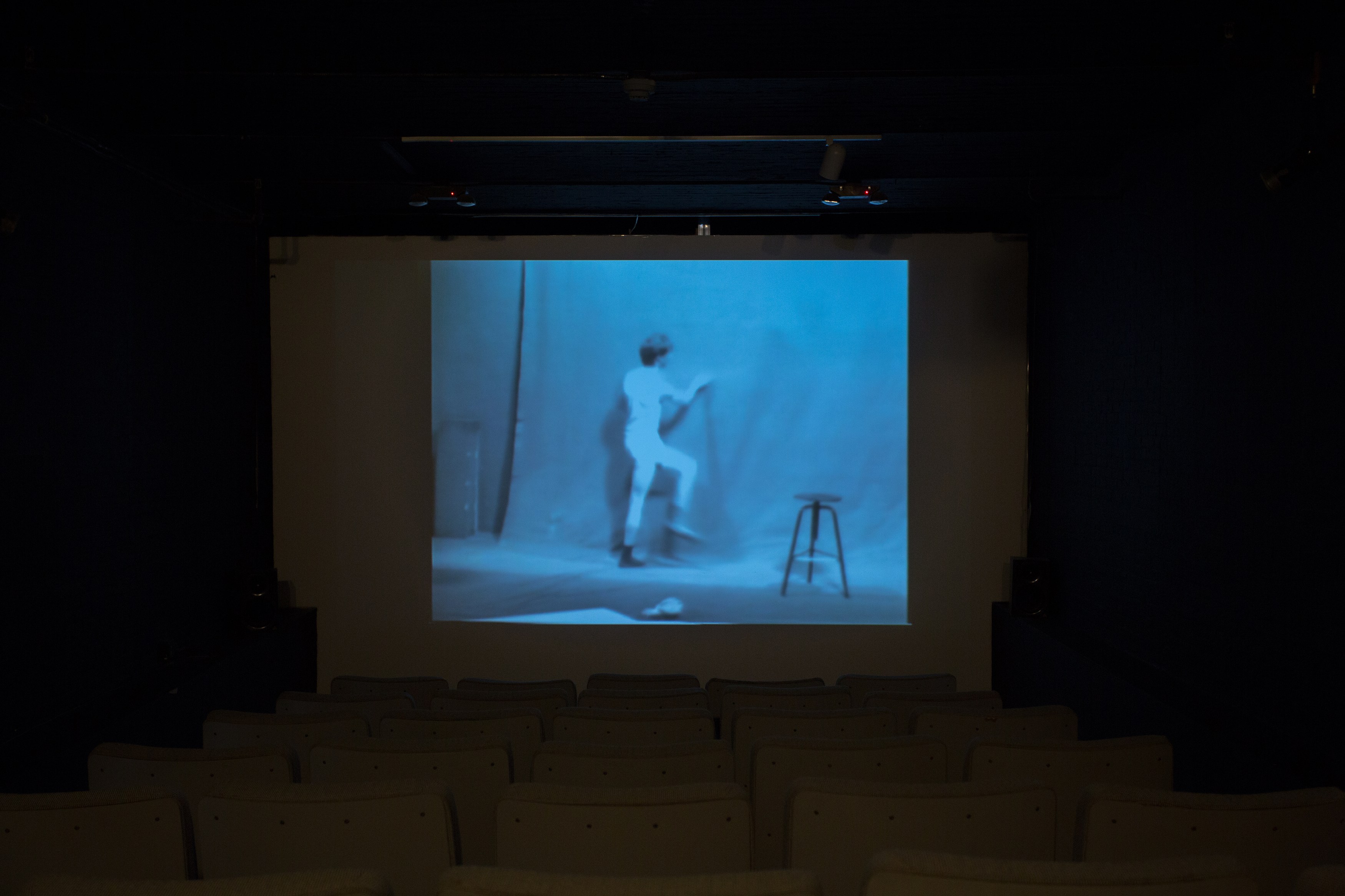 Jos de Gruyter & Harald Thys, Fine Arts at MoMA PS1, photo 70