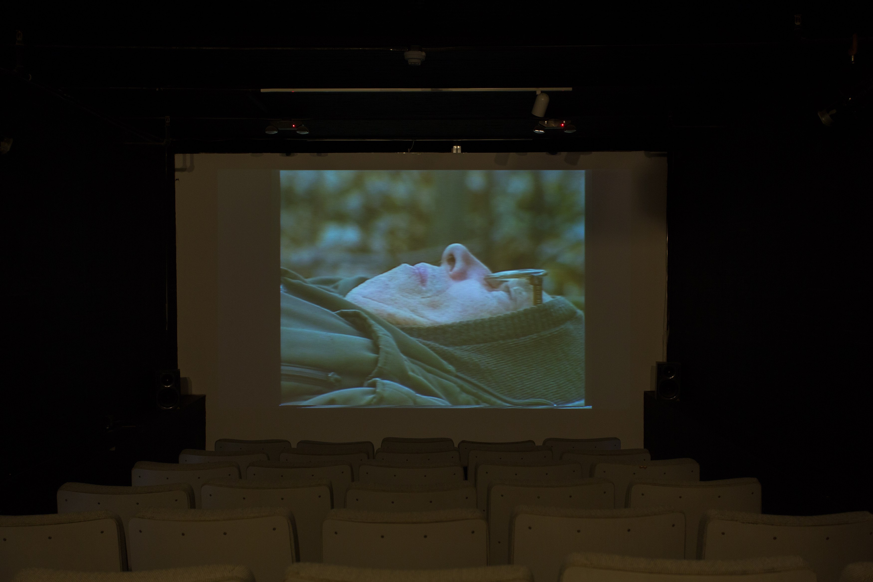 Jos de Gruyter & Harald Thys, Fine Arts at MoMA PS1, photo 71