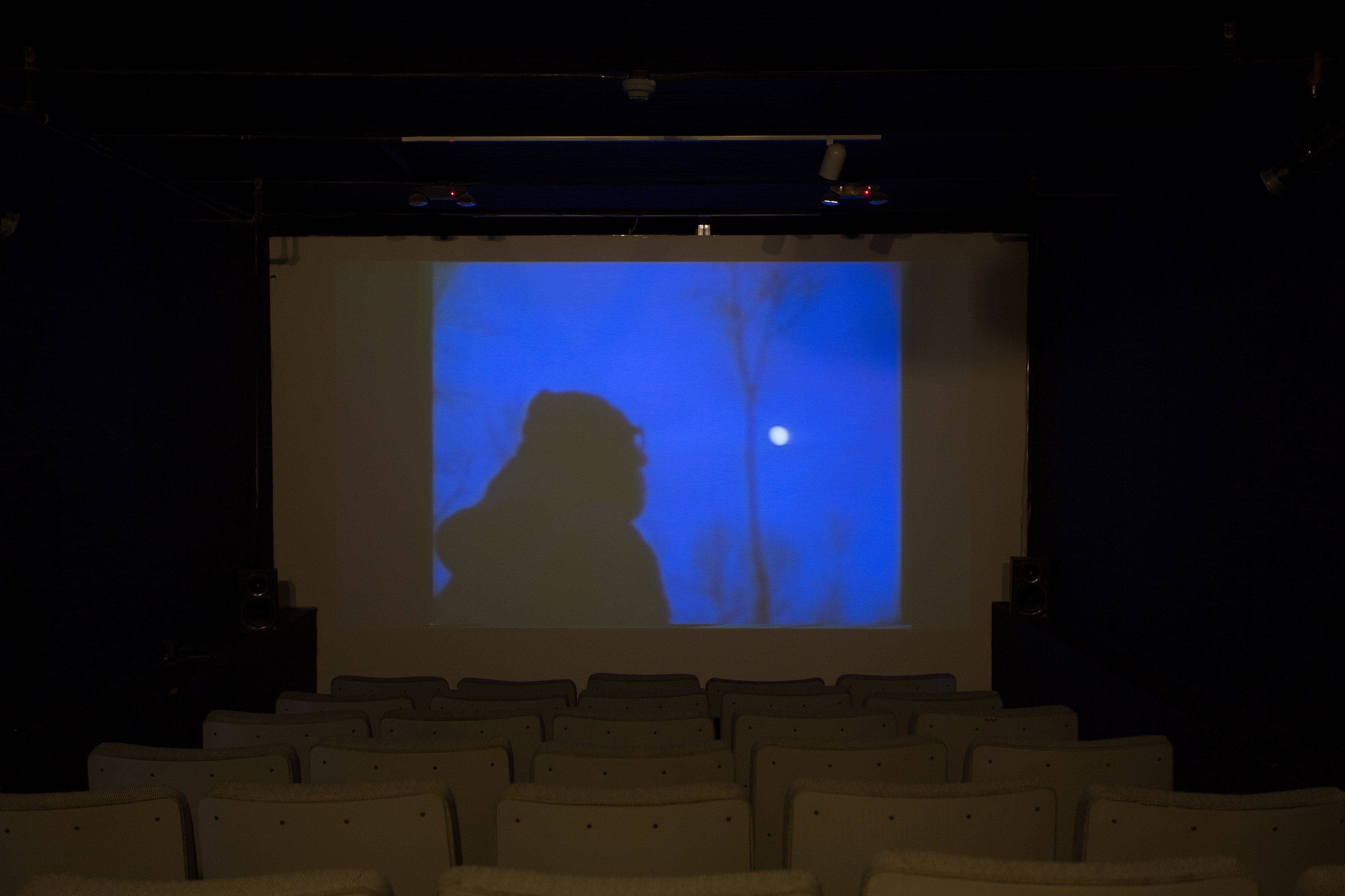 Jos de Gruyter & Harald Thys, Fine Arts at MoMA PS1, photo 73