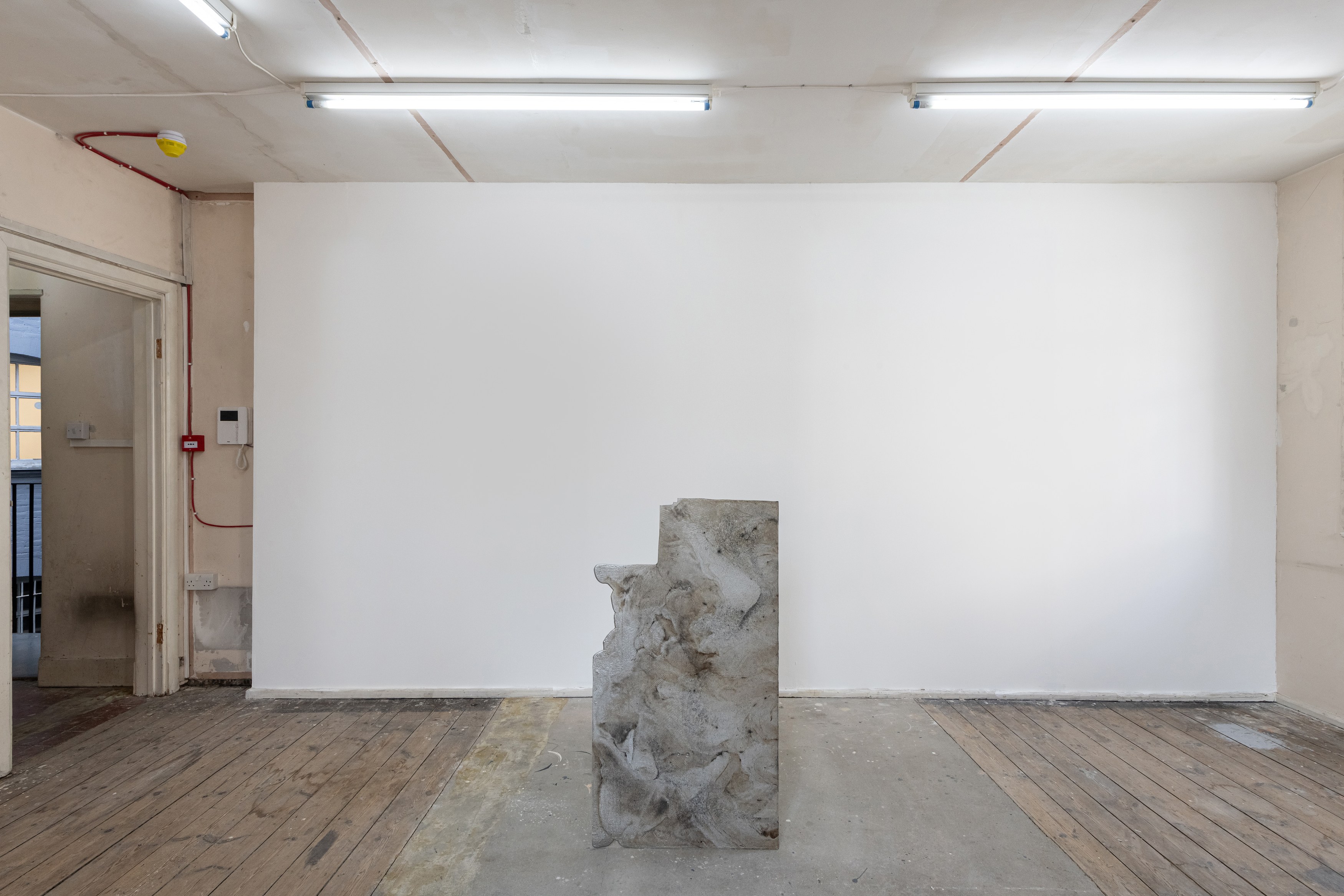 Matthew Peers, Richard Wentworth, walks at Gestures, photo 6