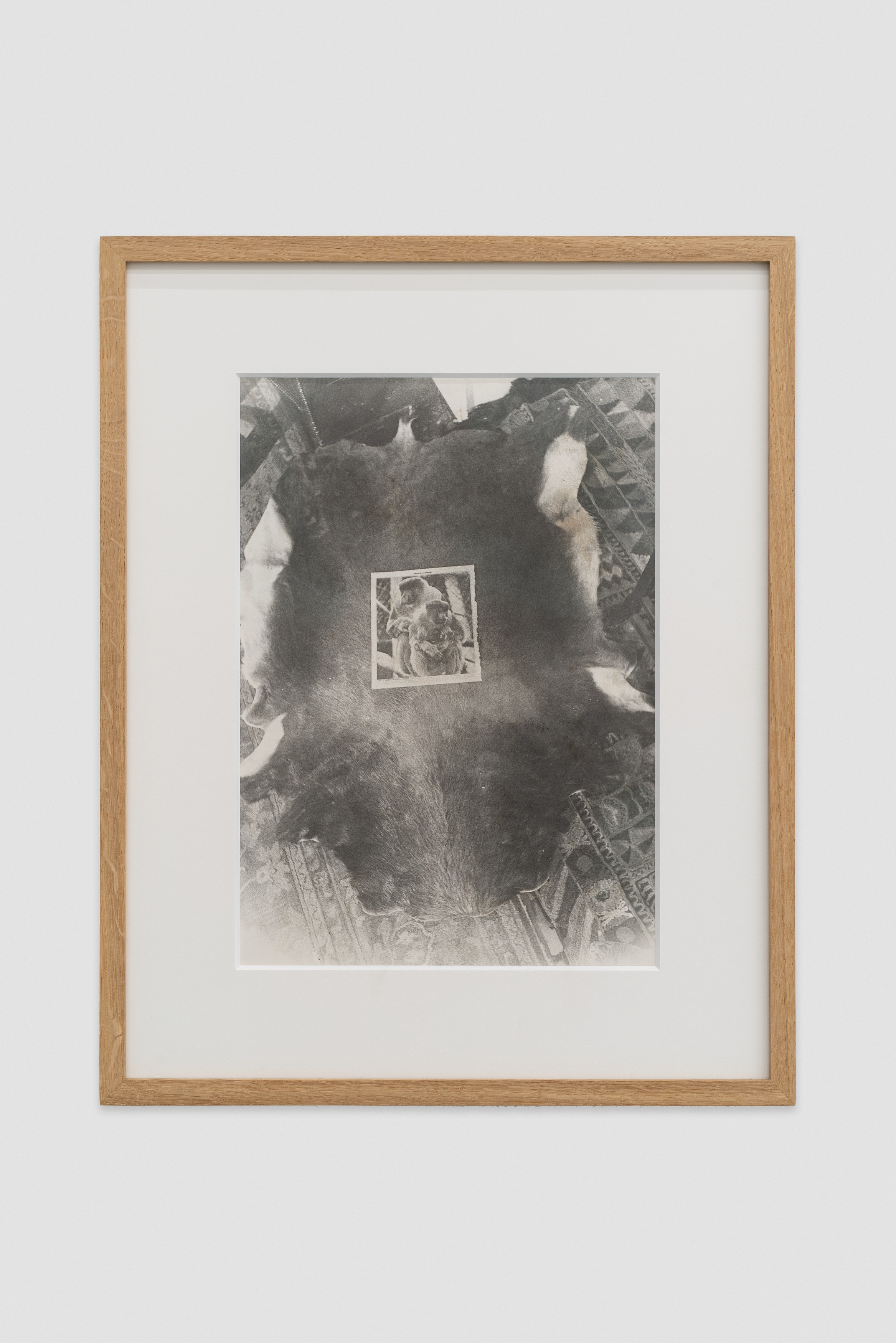 Mickael Marman, Sigmar Polke, Dylan Spaysky, Vulture at Scherben, photo 10