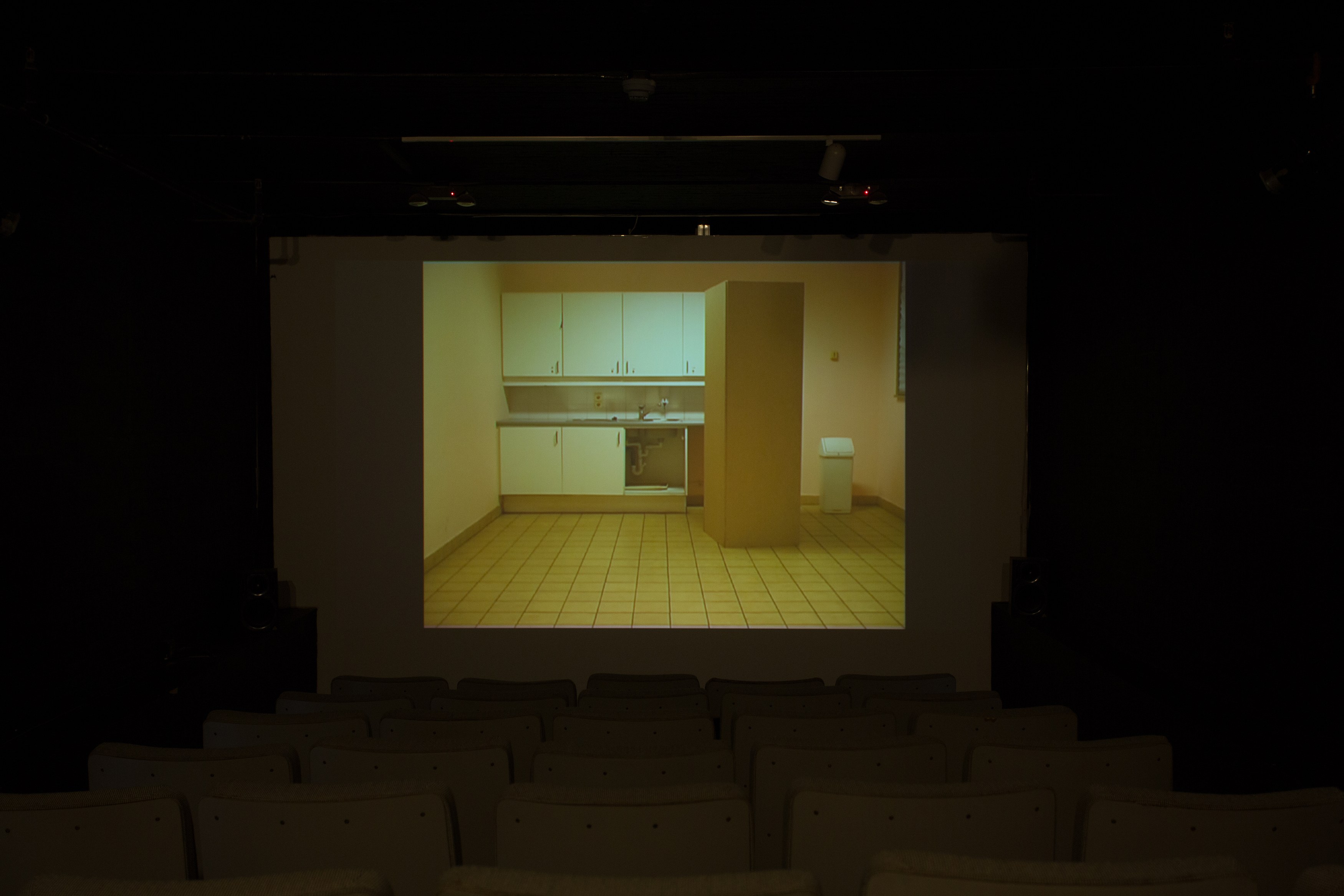 Jos de Gruyter & Harald Thys, Fine Arts at MoMA PS1, photo 86
