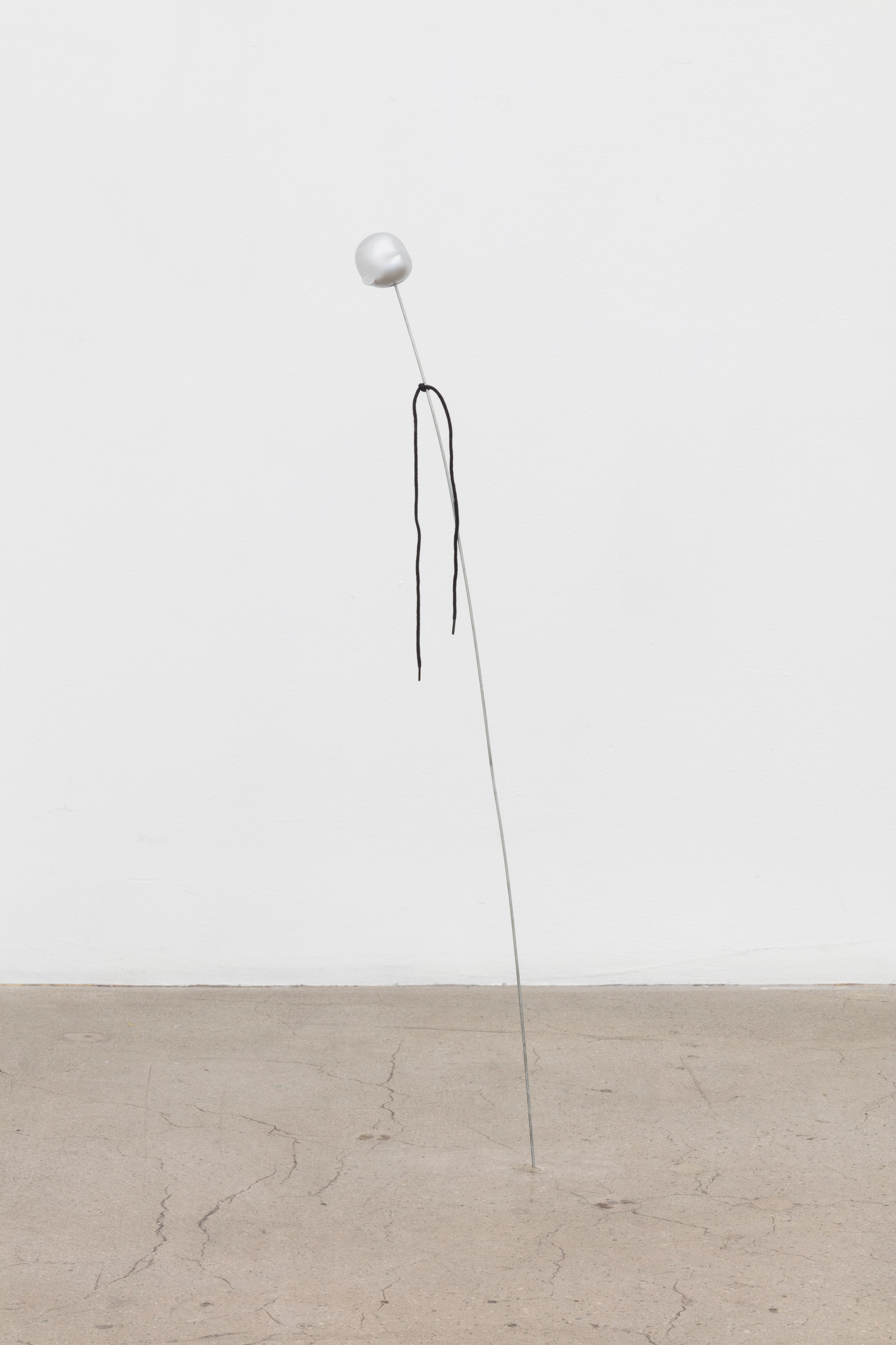 Hertta Kiiski, Fever Dream at NOON Projects, photo 7