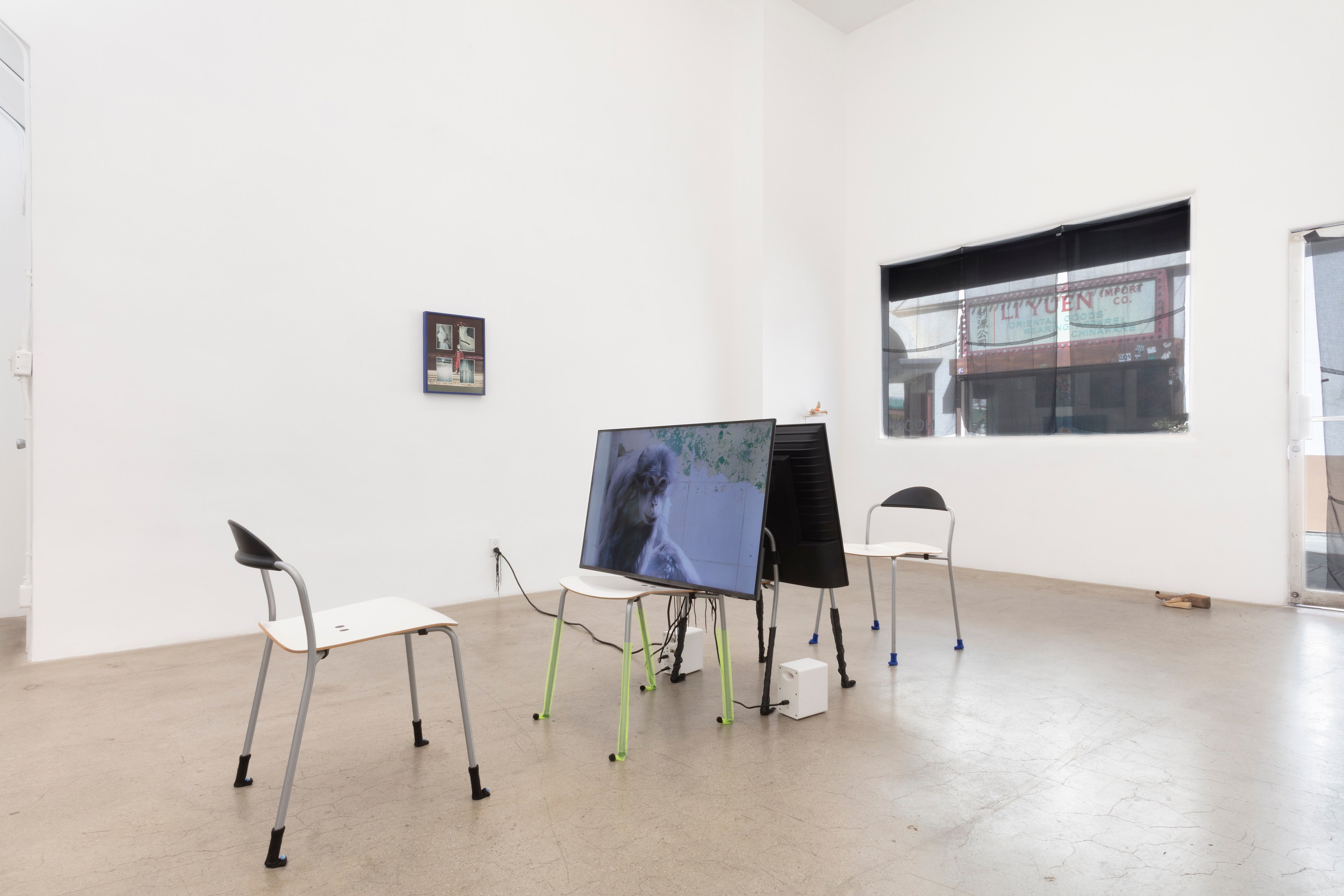 Hertta Kiiski, Fever Dream at NOON Projects, photo 24