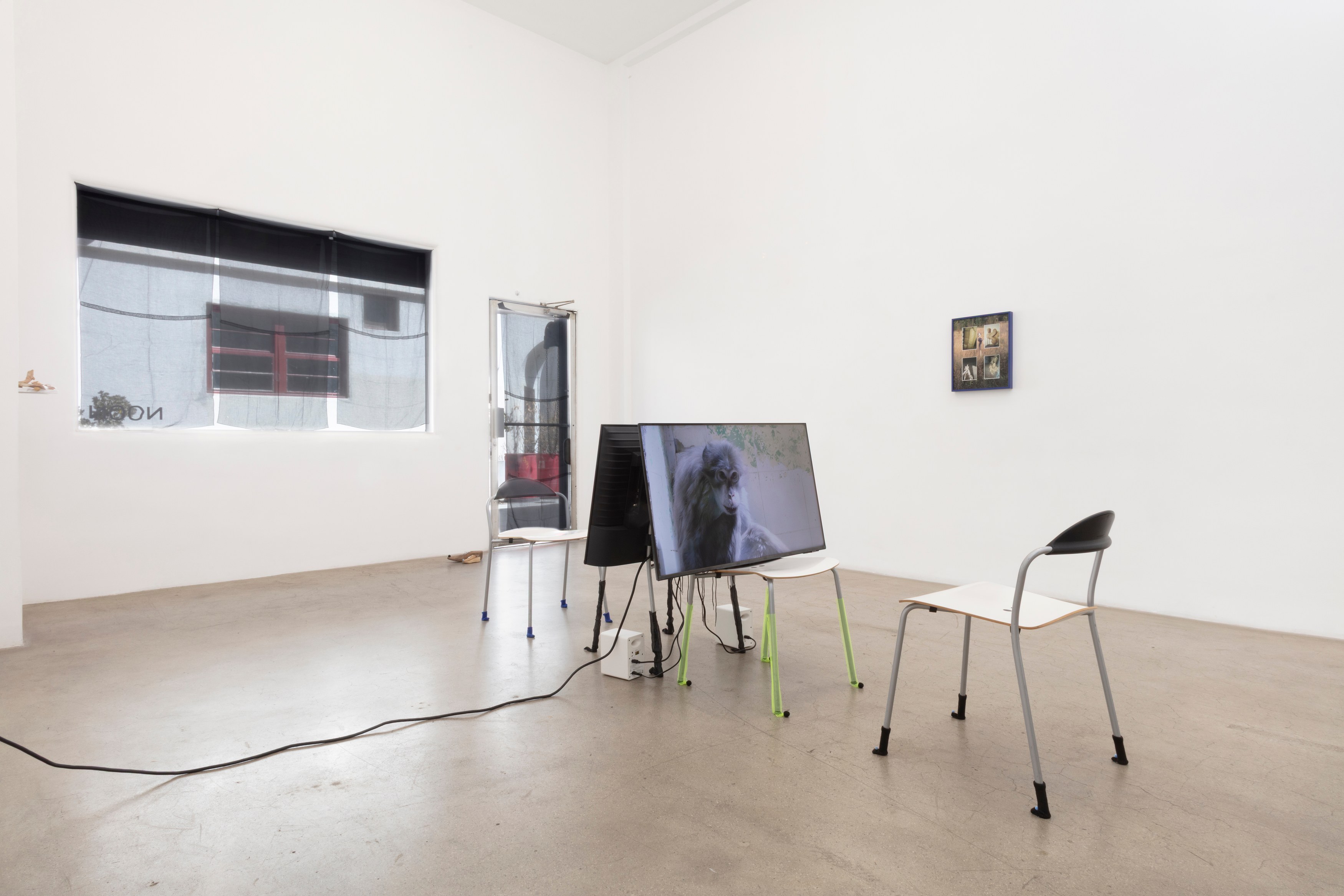 Hertta Kiiski, Fever Dream at NOON Projects, photo 25