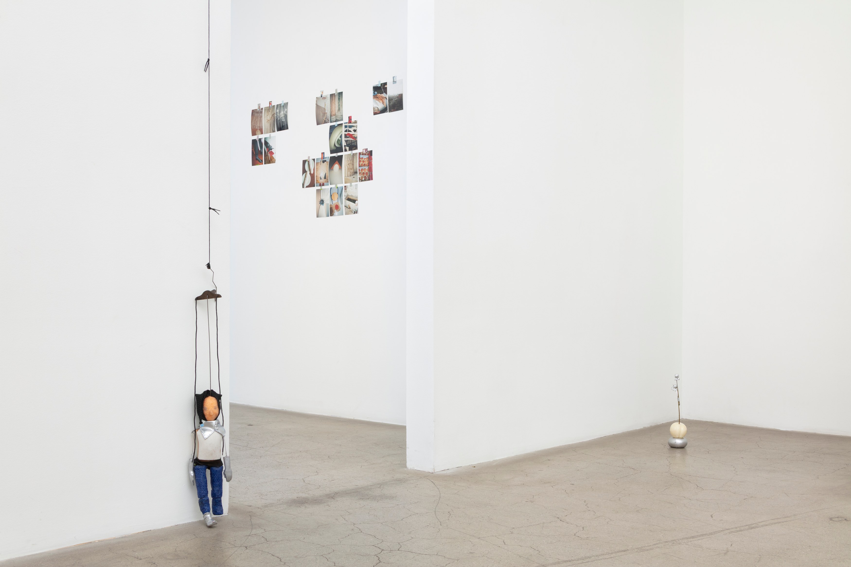 Hertta Kiiski, Fever Dream at NOON Projects, photo 33