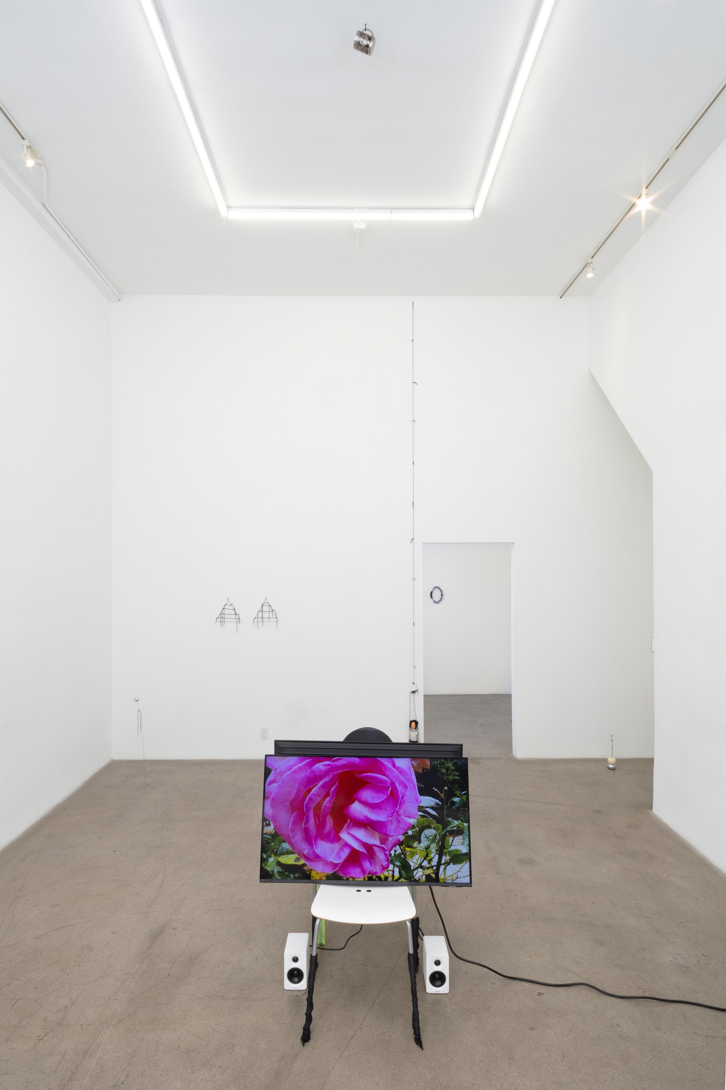 Hertta Kiiski, Fever Dream at NOON Projects, photo 35